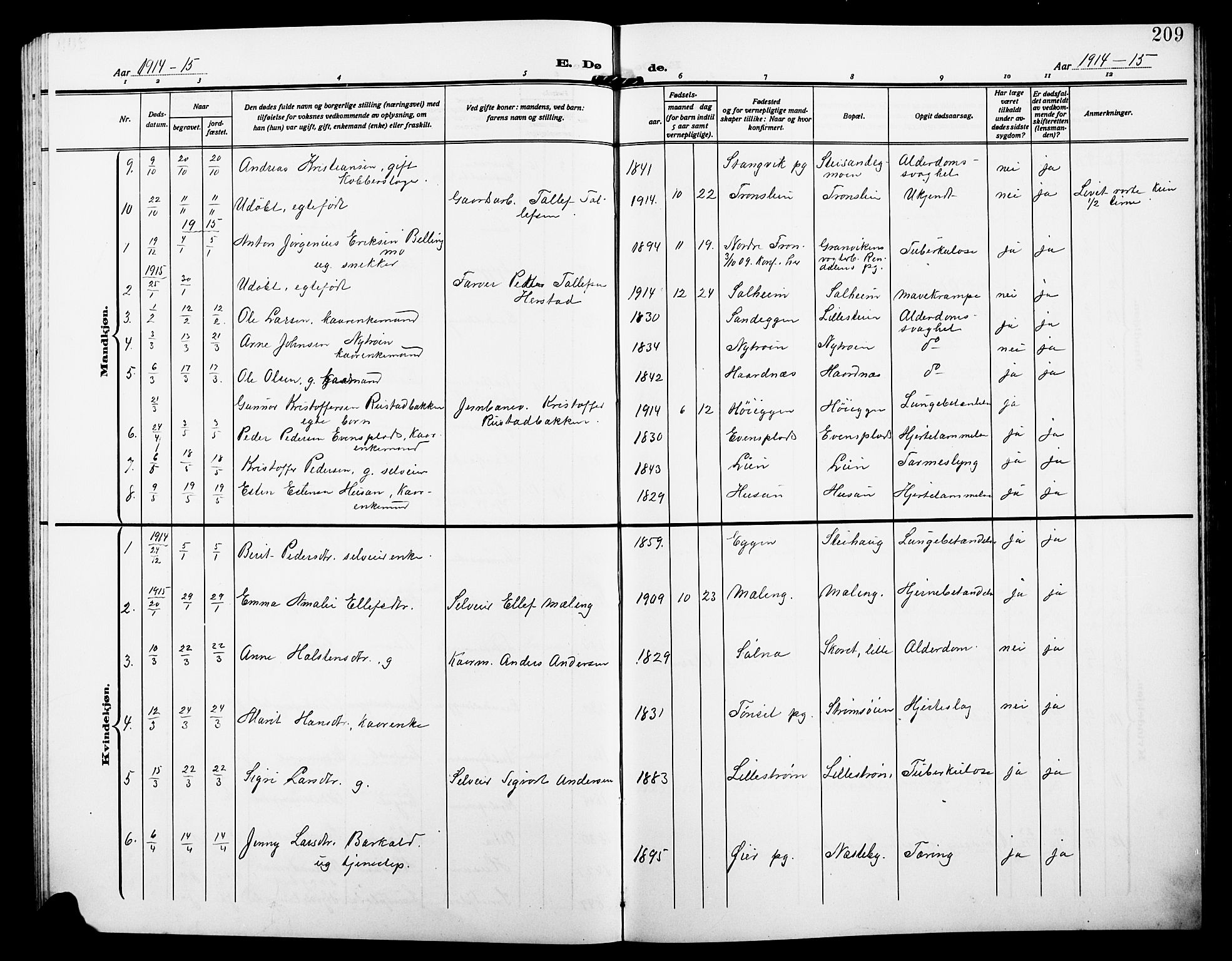 Alvdal prestekontor, SAH/PREST-060/H/Ha/Hab/L0005: Parish register (copy) no. 5, 1908-1923, p. 209