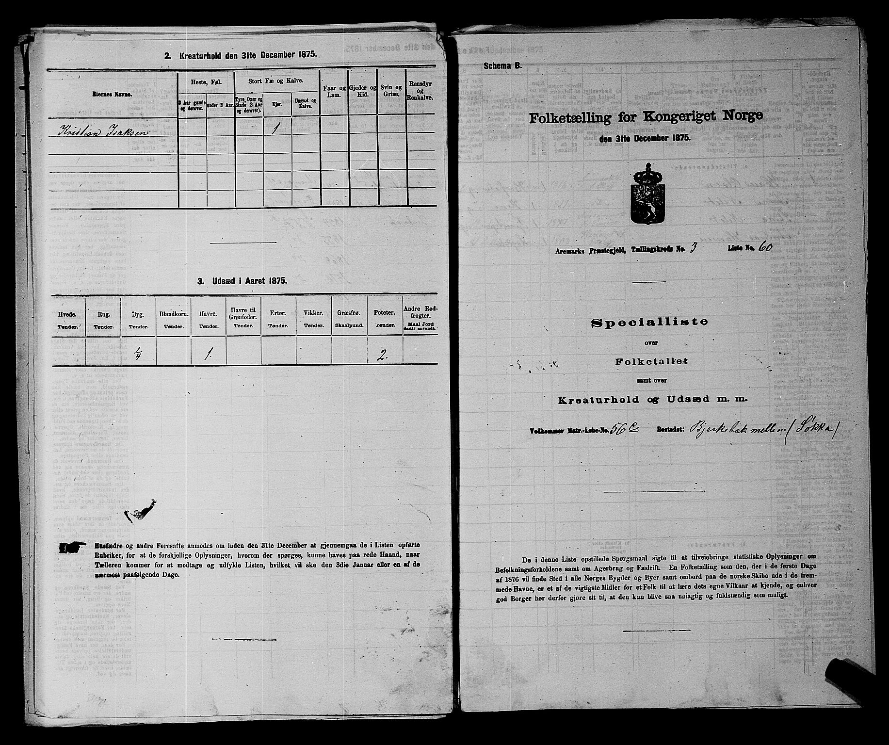RA, 1875 census for 0118P Aremark, 1875, p. 496