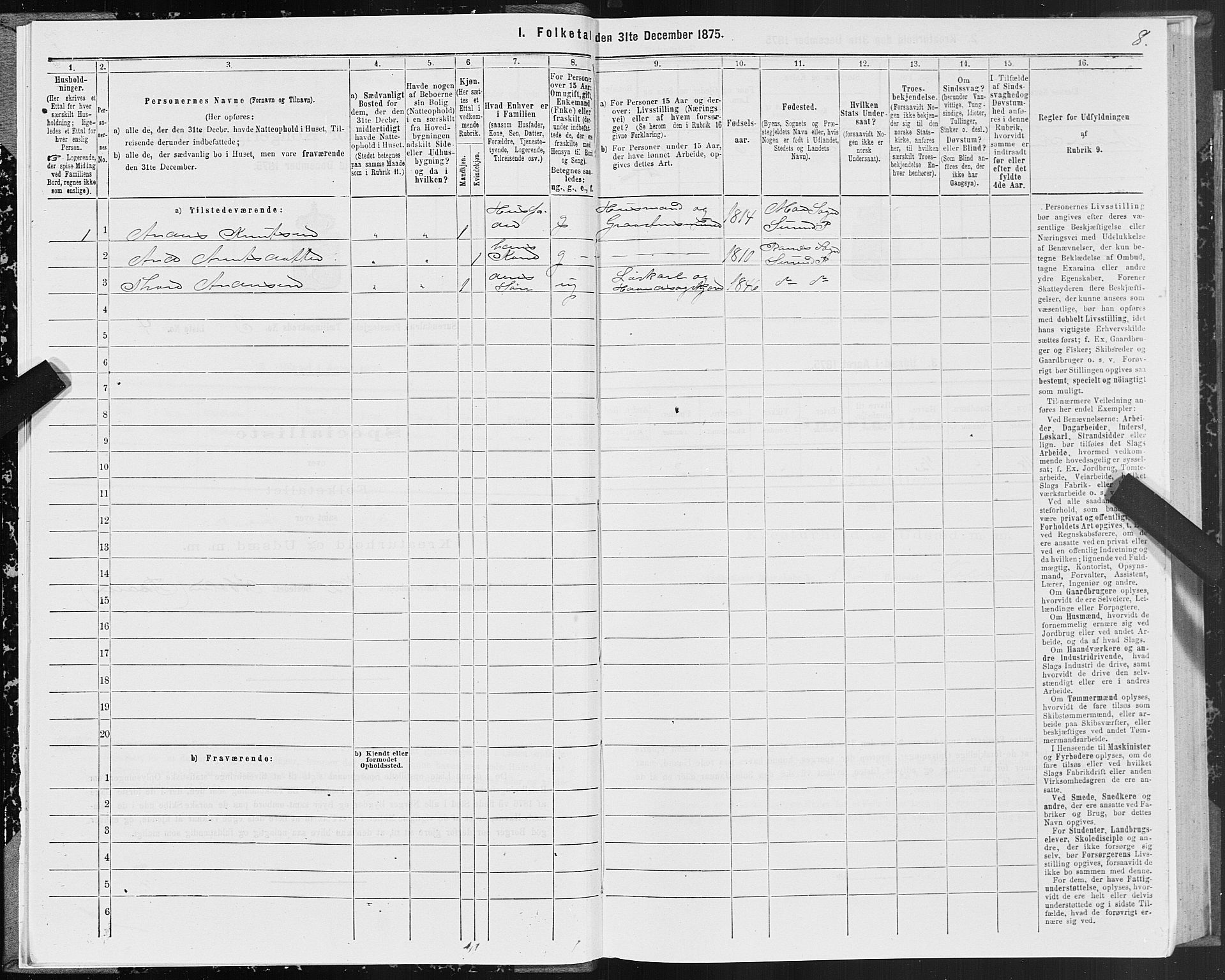 SAT, 1875 census for 1566P Surnadal, 1875, p. 2008