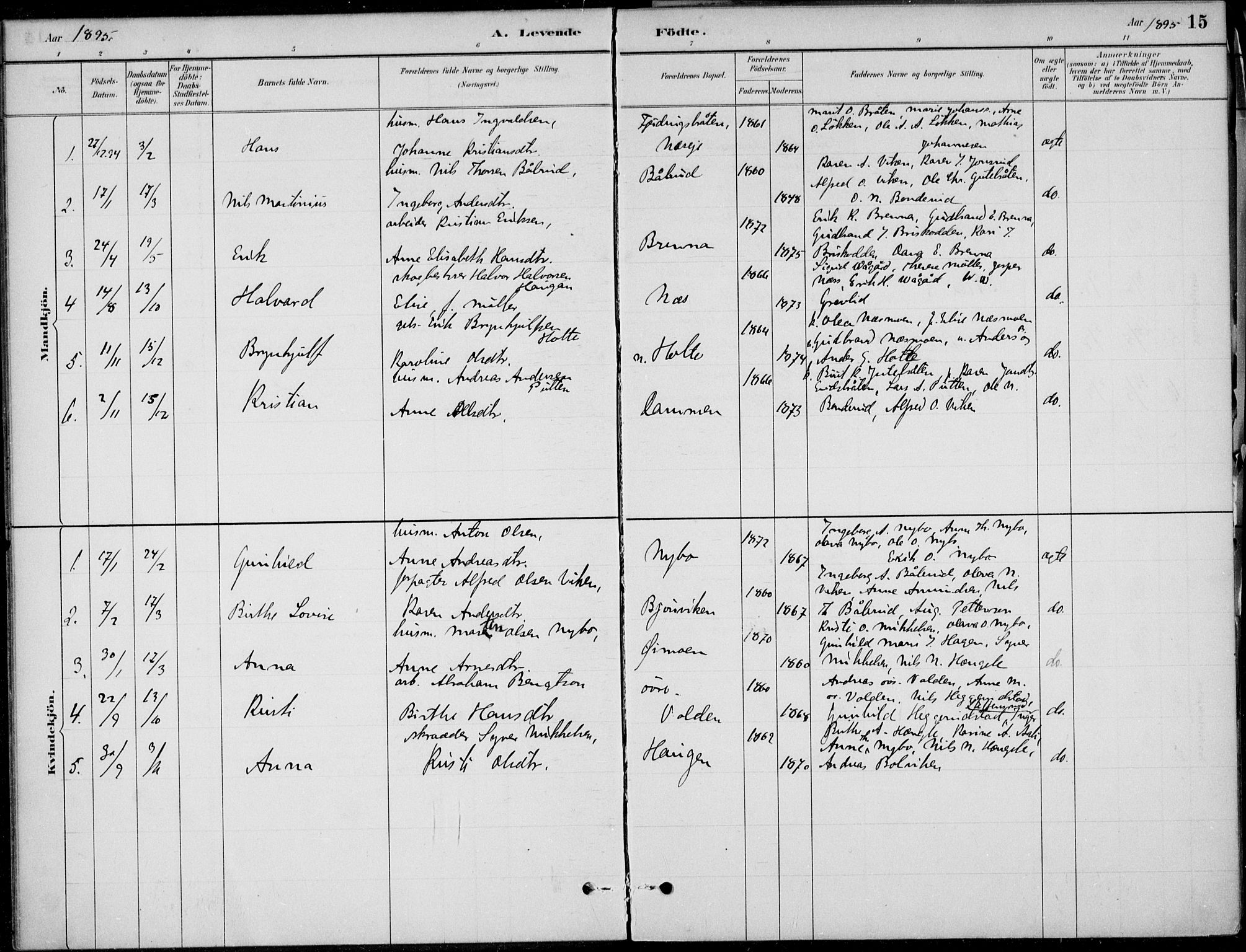 Ådal kirkebøker, AV/SAKO-A-248/F/Fa/L0004: Parish register (official) no. I 4, 1884-1904, p. 15