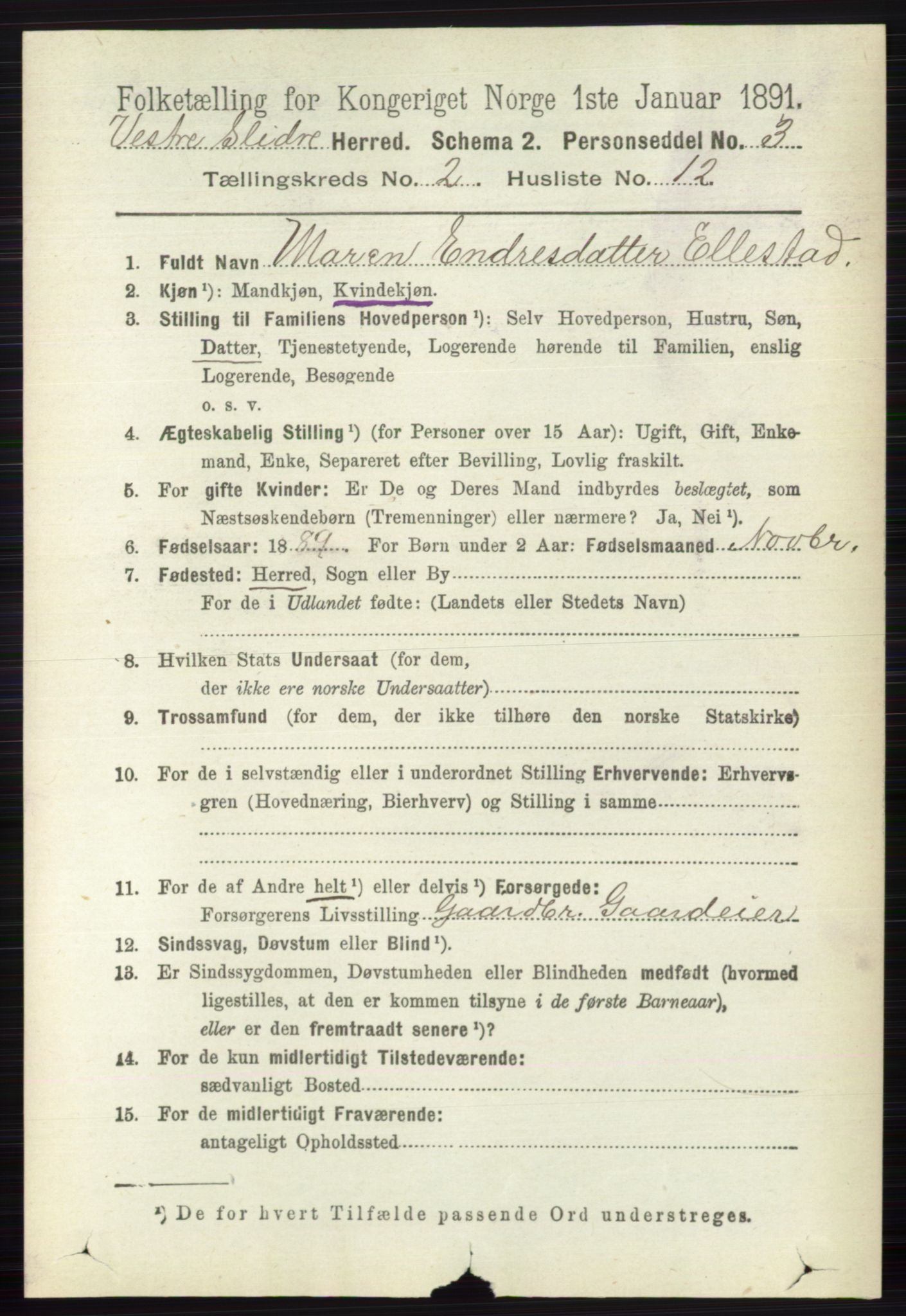 RA, 1891 census for 0543 Vestre Slidre, 1891, p. 598