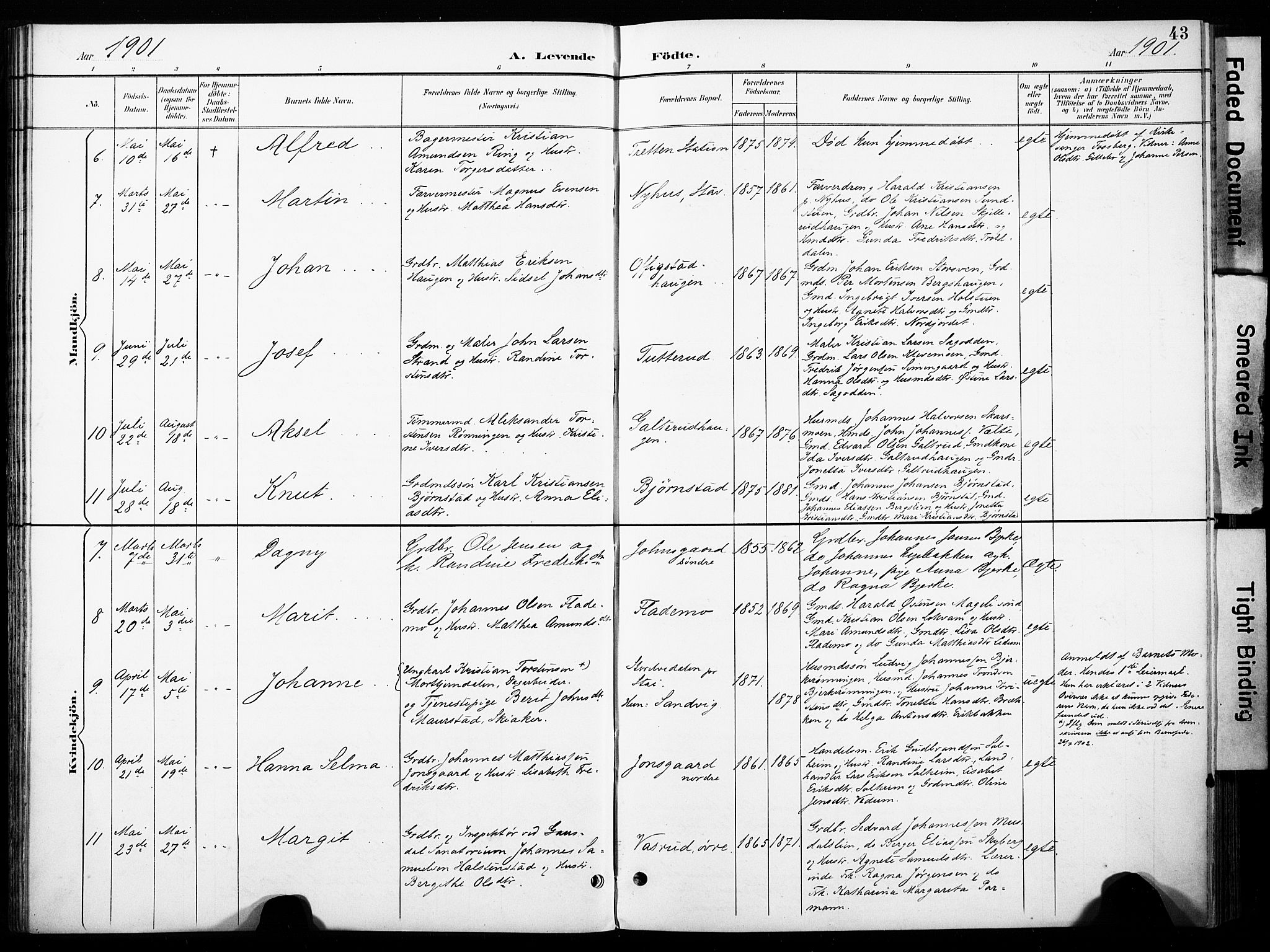 Øyer prestekontor, AV/SAH-PREST-084/H/Ha/Haa/L0011: Parish register (official) no. 11, 1894-1905, p. 43