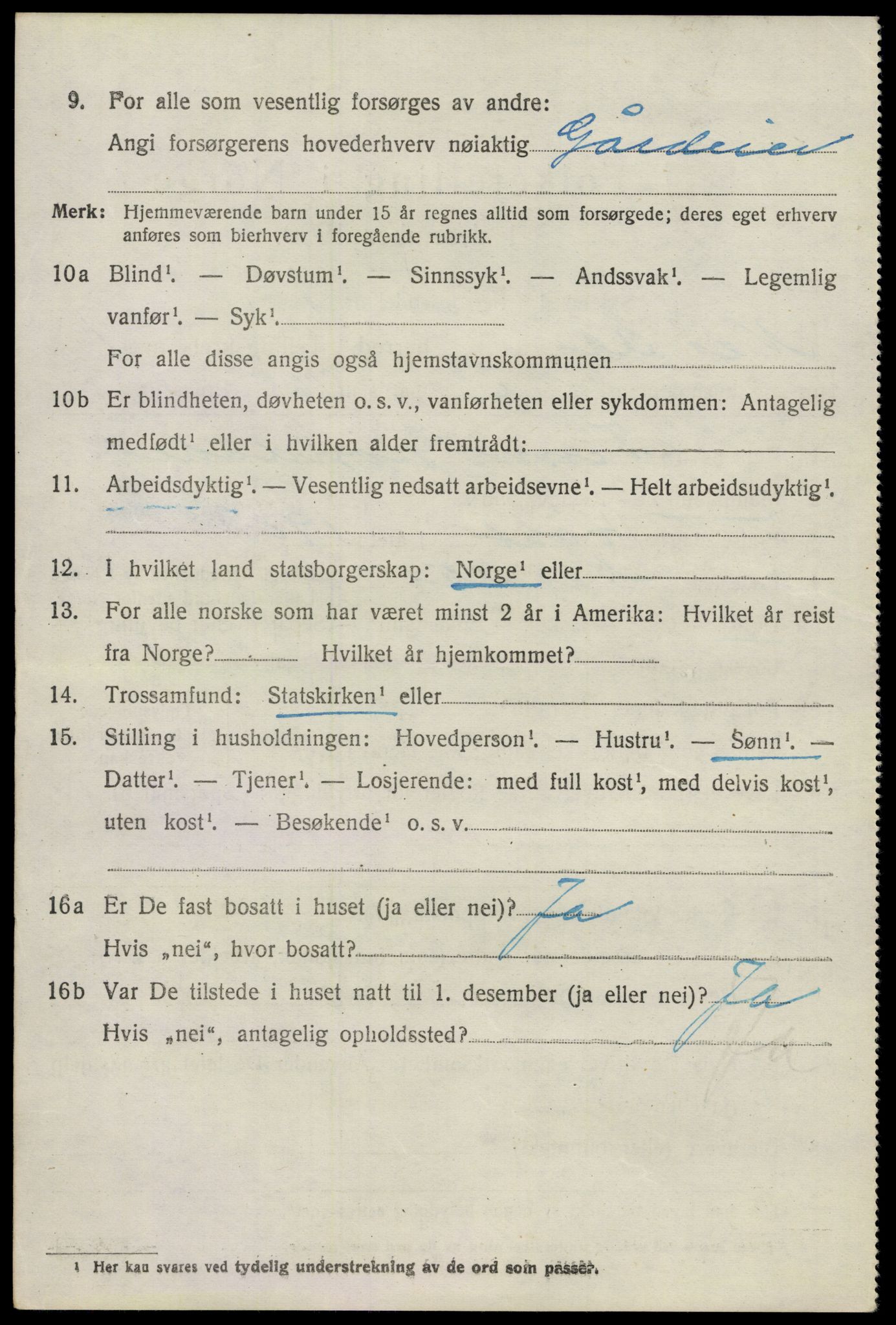 SAO, 1920 census for Nes, 1920, p. 4247