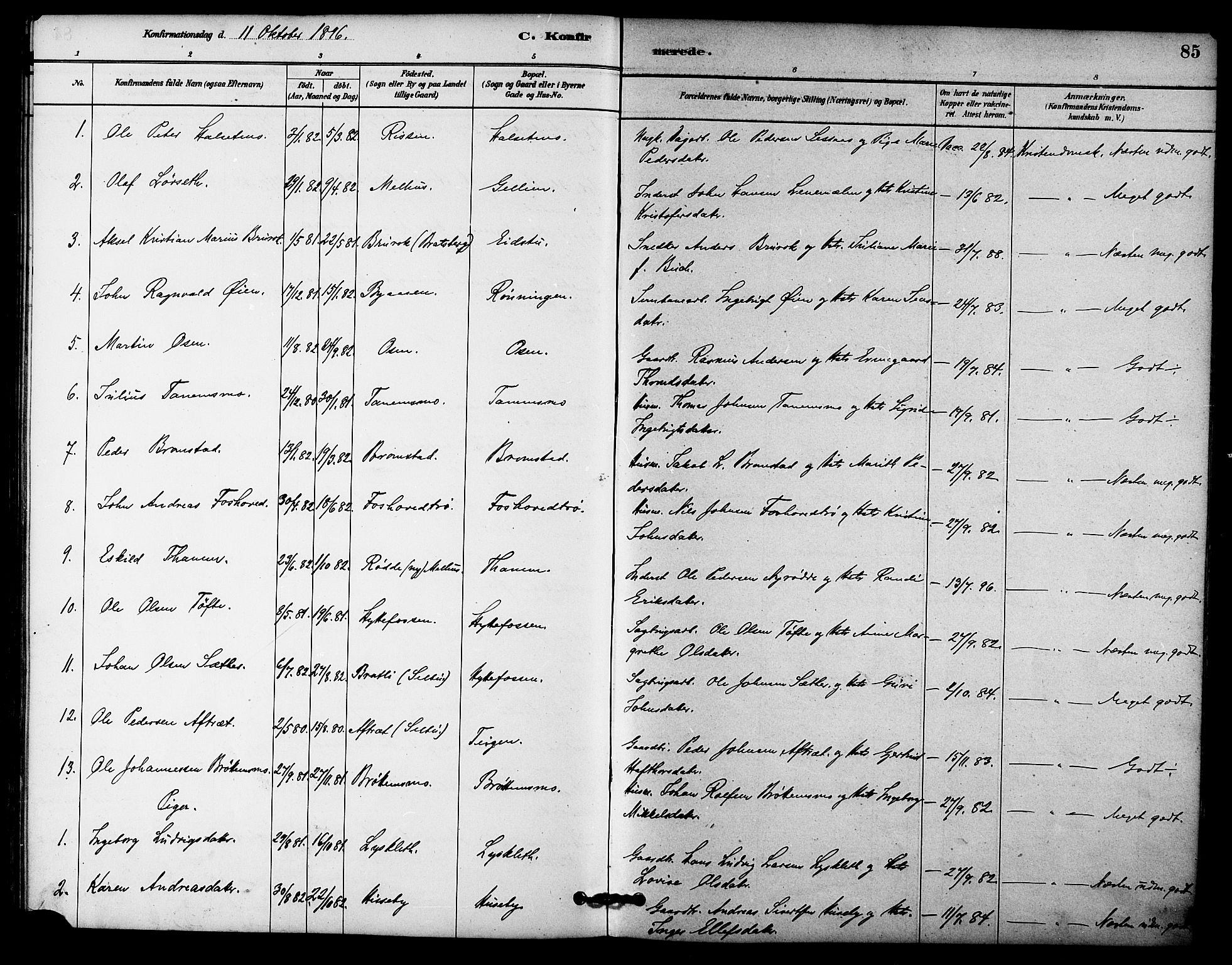 Ministerialprotokoller, klokkerbøker og fødselsregistre - Sør-Trøndelag, AV/SAT-A-1456/618/L0444: Parish register (official) no. 618A07, 1880-1898, p. 85