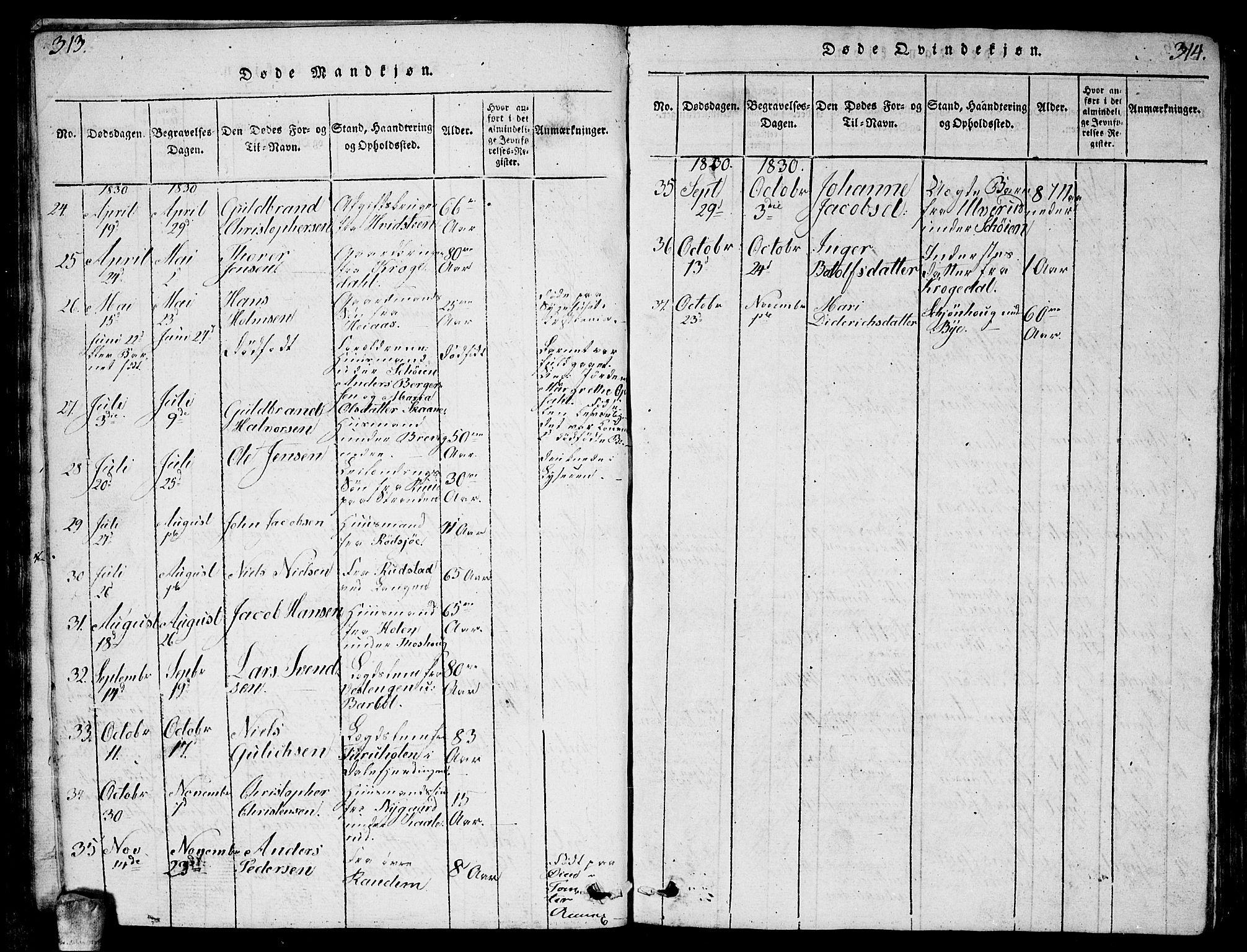 Enebakk prestekontor Kirkebøker, AV/SAO-A-10171c/G/Ga/L0001: Parish register (copy) no. I 1, 1815-1833, p. 313-314