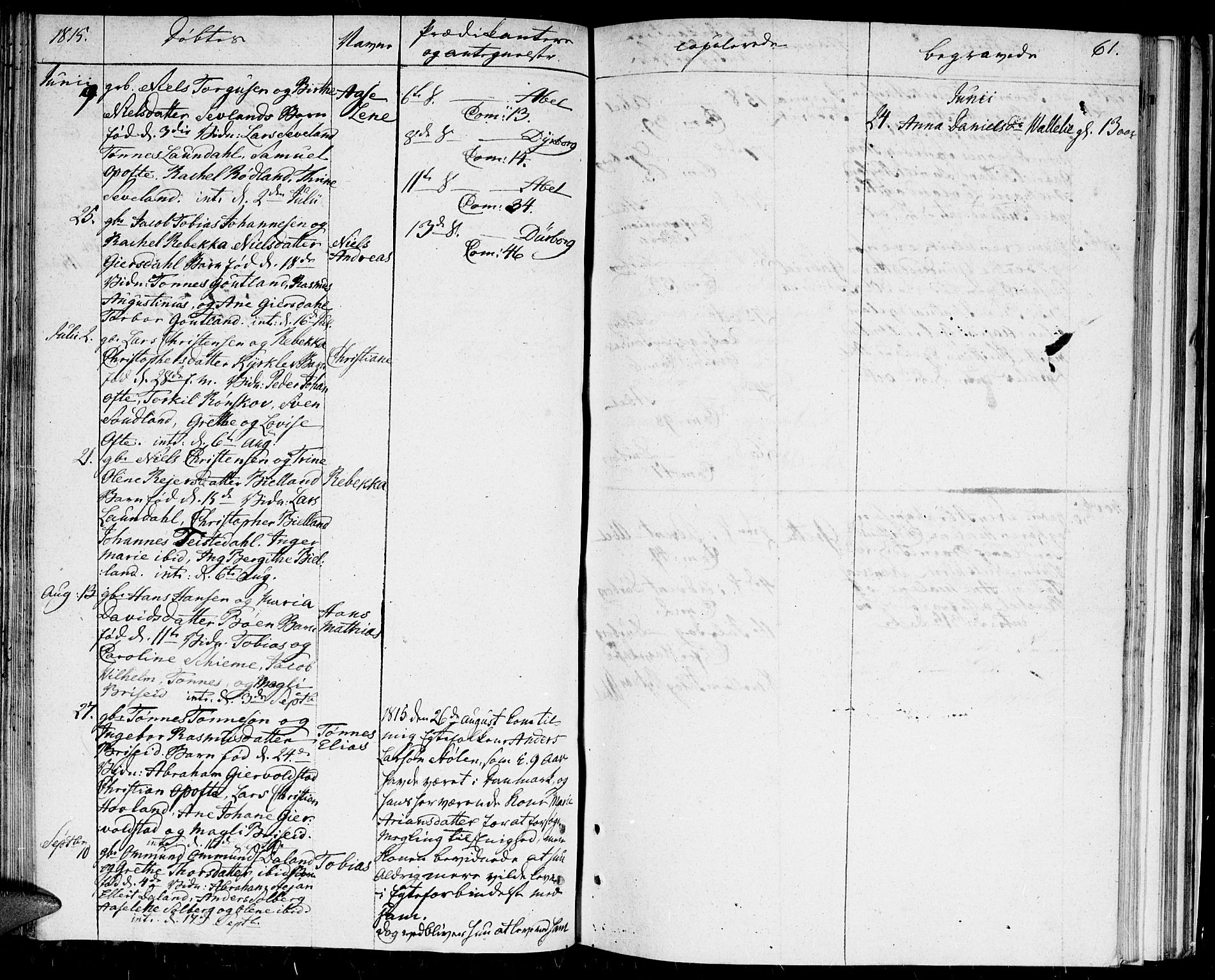 Herad sokneprestkontor, AV/SAK-1111-0018/F/Fa/Faa/L0002: Parish register (official) no. A 2, 1800-1815, p. 61