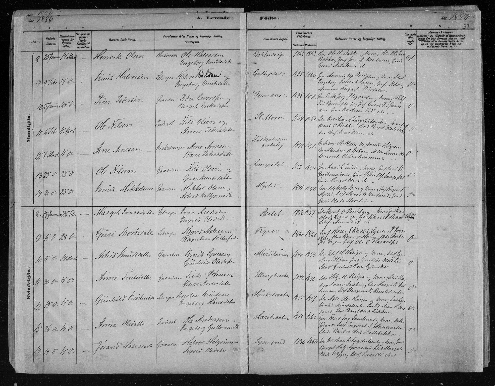 Nes kirkebøker, SAKO/A-236/F/Fa/L0011: Parish register (official) no. 11, 1881-1912, p. 33