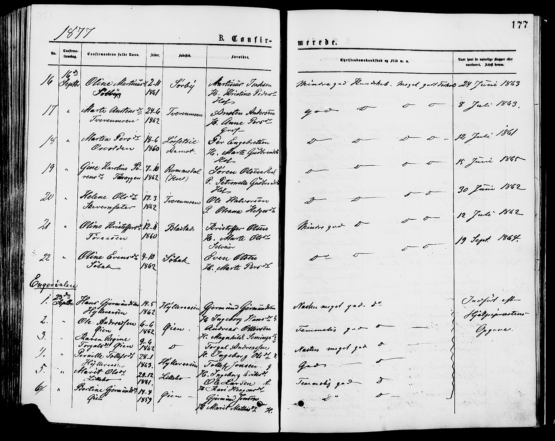 Trysil prestekontor, SAH/PREST-046/H/Ha/Haa/L0007: Parish register (official) no. 7, 1874-1880, p. 177