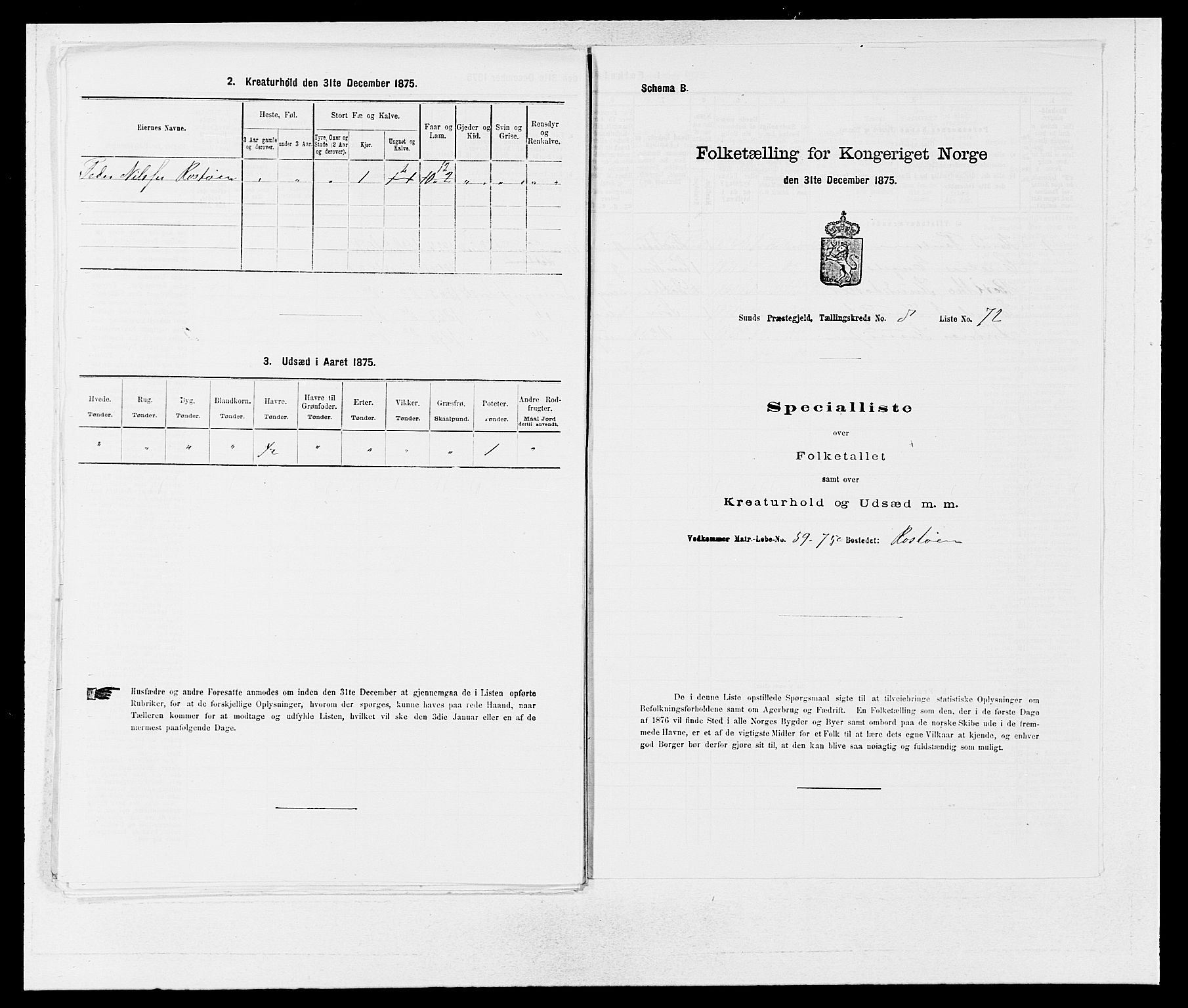 SAB, 1875 census for 1245P Sund, 1875, p. 974