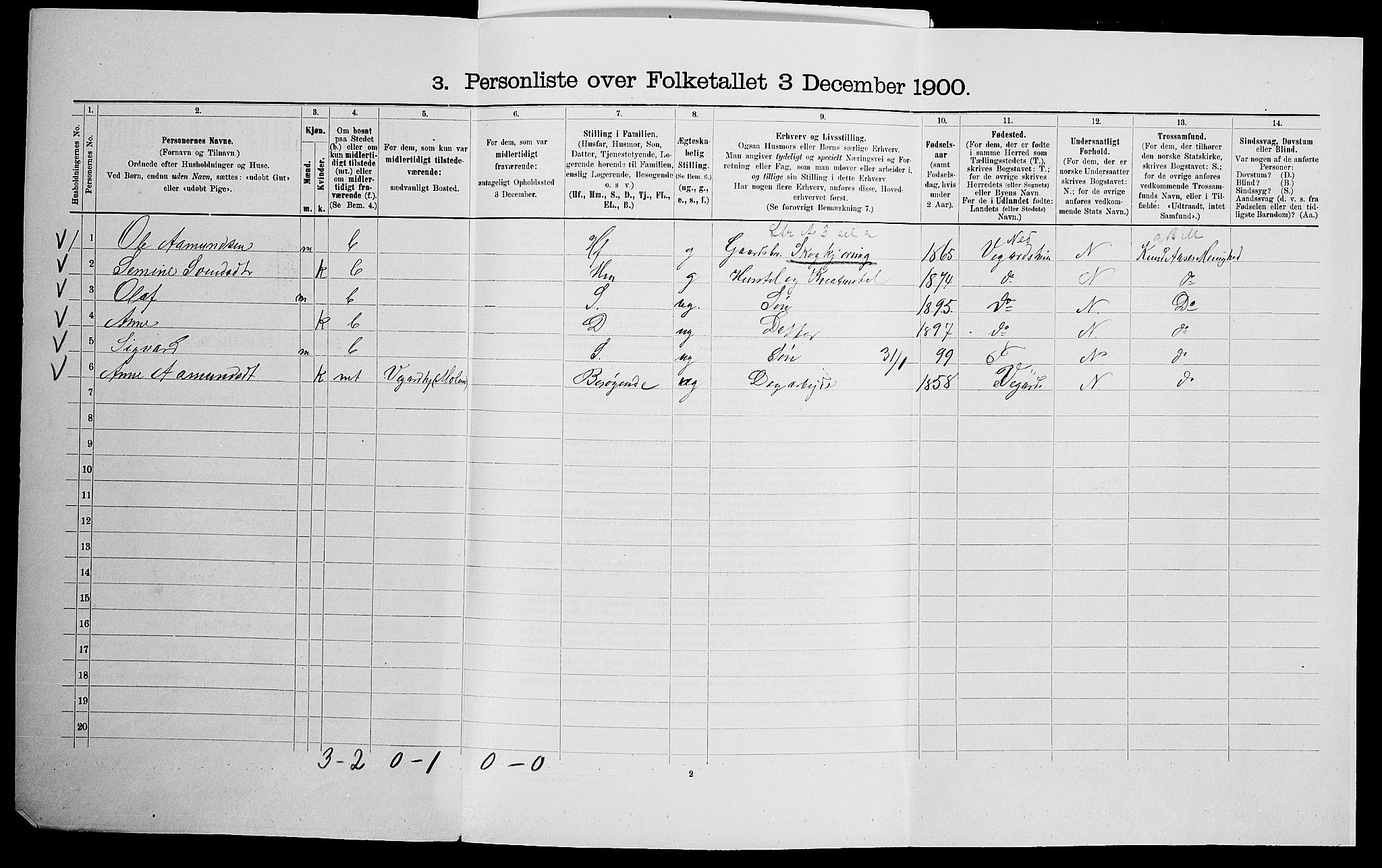 SAK, 1900 census for Holt, 1900, p. 1396