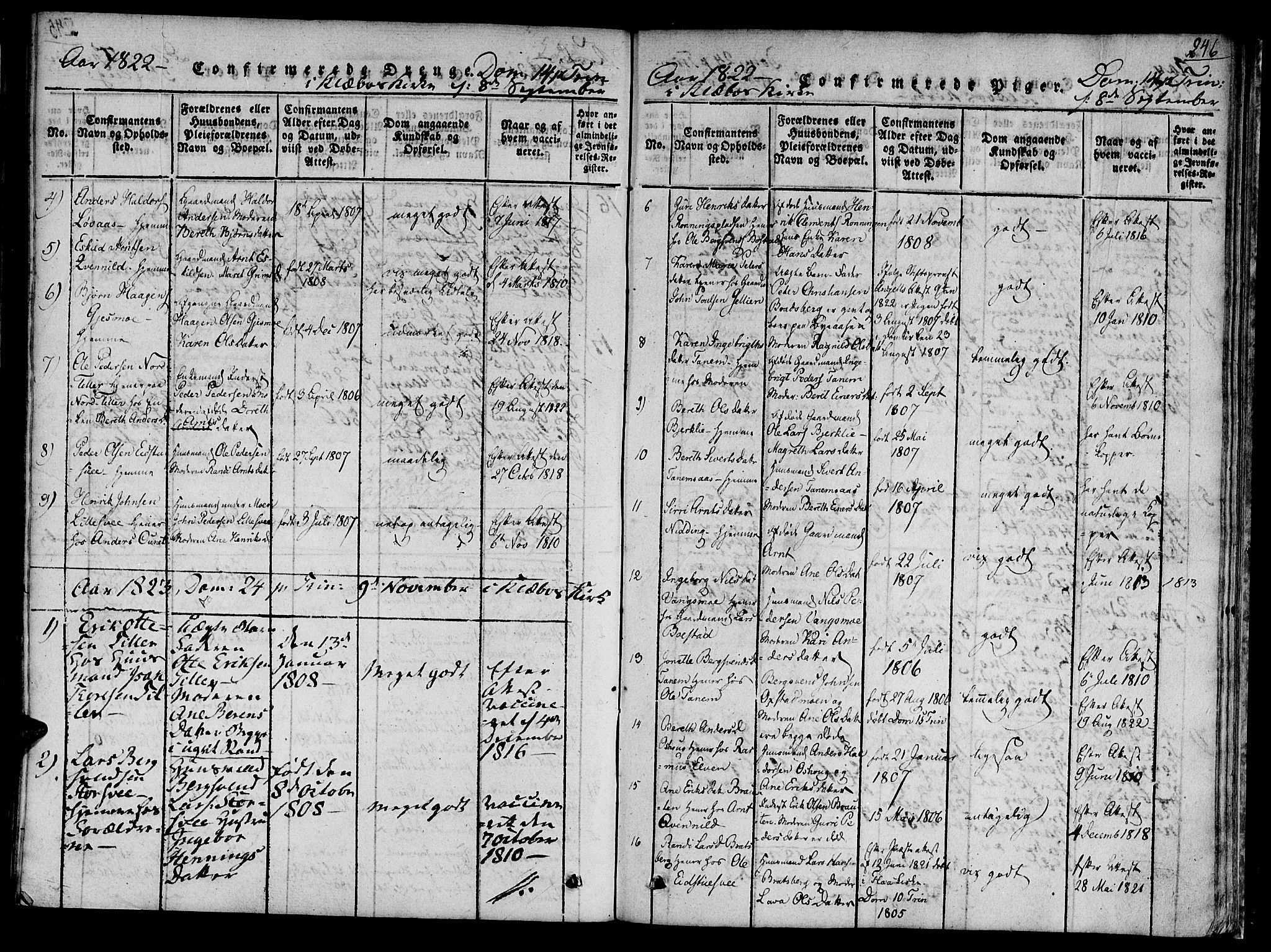 Ministerialprotokoller, klokkerbøker og fødselsregistre - Sør-Trøndelag, SAT/A-1456/618/L0439: Parish register (official) no. 618A04 /1, 1816-1843, p. 246