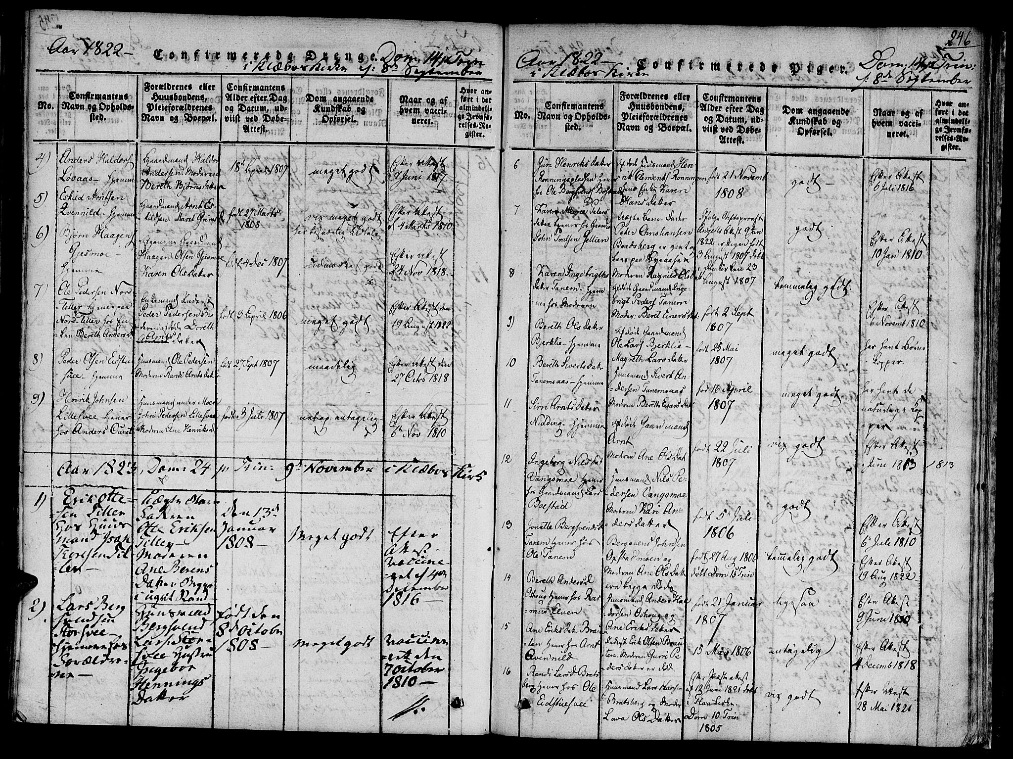 Ministerialprotokoller, klokkerbøker og fødselsregistre - Sør-Trøndelag, AV/SAT-A-1456/618/L0439: Parish register (official) no. 618A04 /1, 1816-1843, p. 246