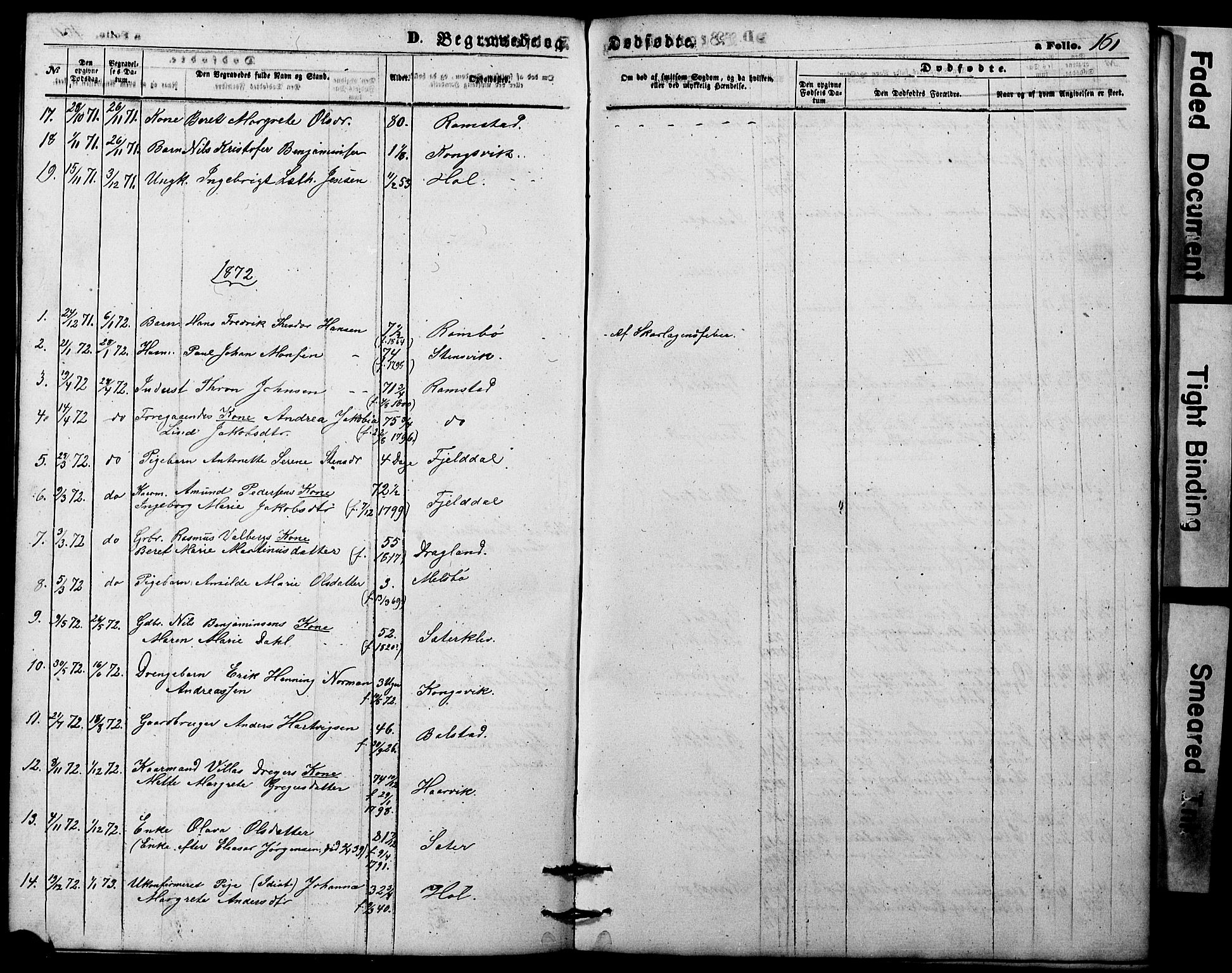 Ministerialprotokoller, klokkerbøker og fødselsregistre - Nordland, AV/SAT-A-1459/865/L0930: Parish register (copy) no. 865C02, 1866-1884, p. 161