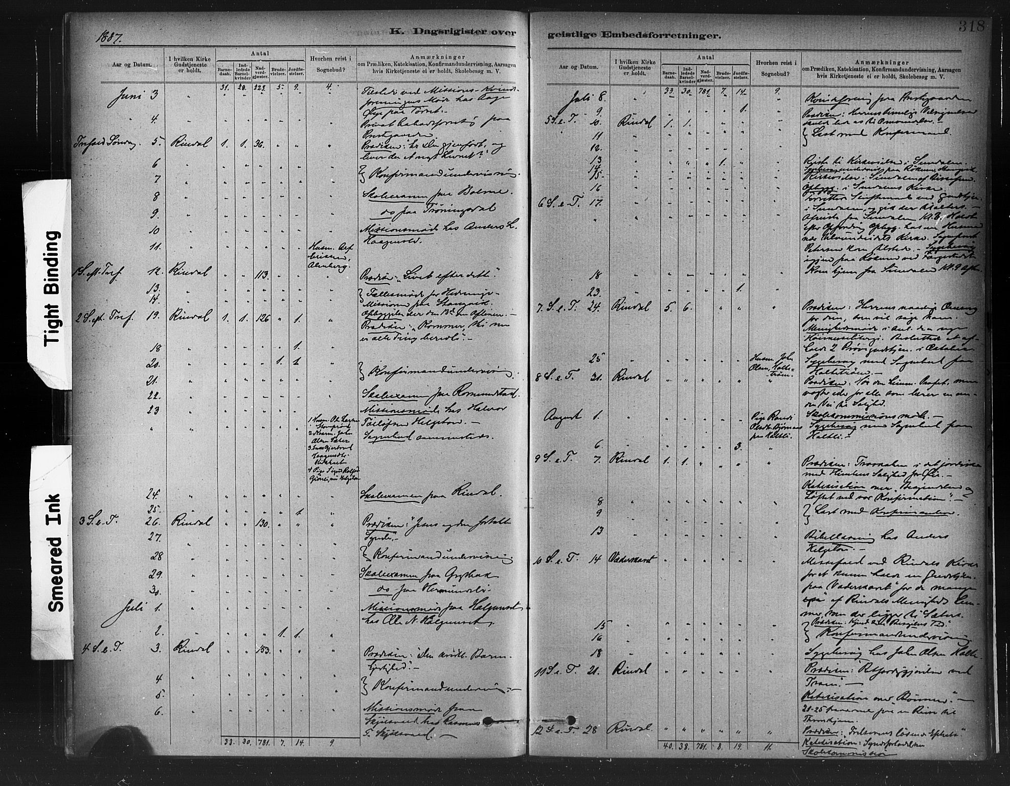 Ministerialprotokoller, klokkerbøker og fødselsregistre - Møre og Romsdal, AV/SAT-A-1454/598/L1069: Parish register (official) no. 598A03, 1882-1895, p. 318