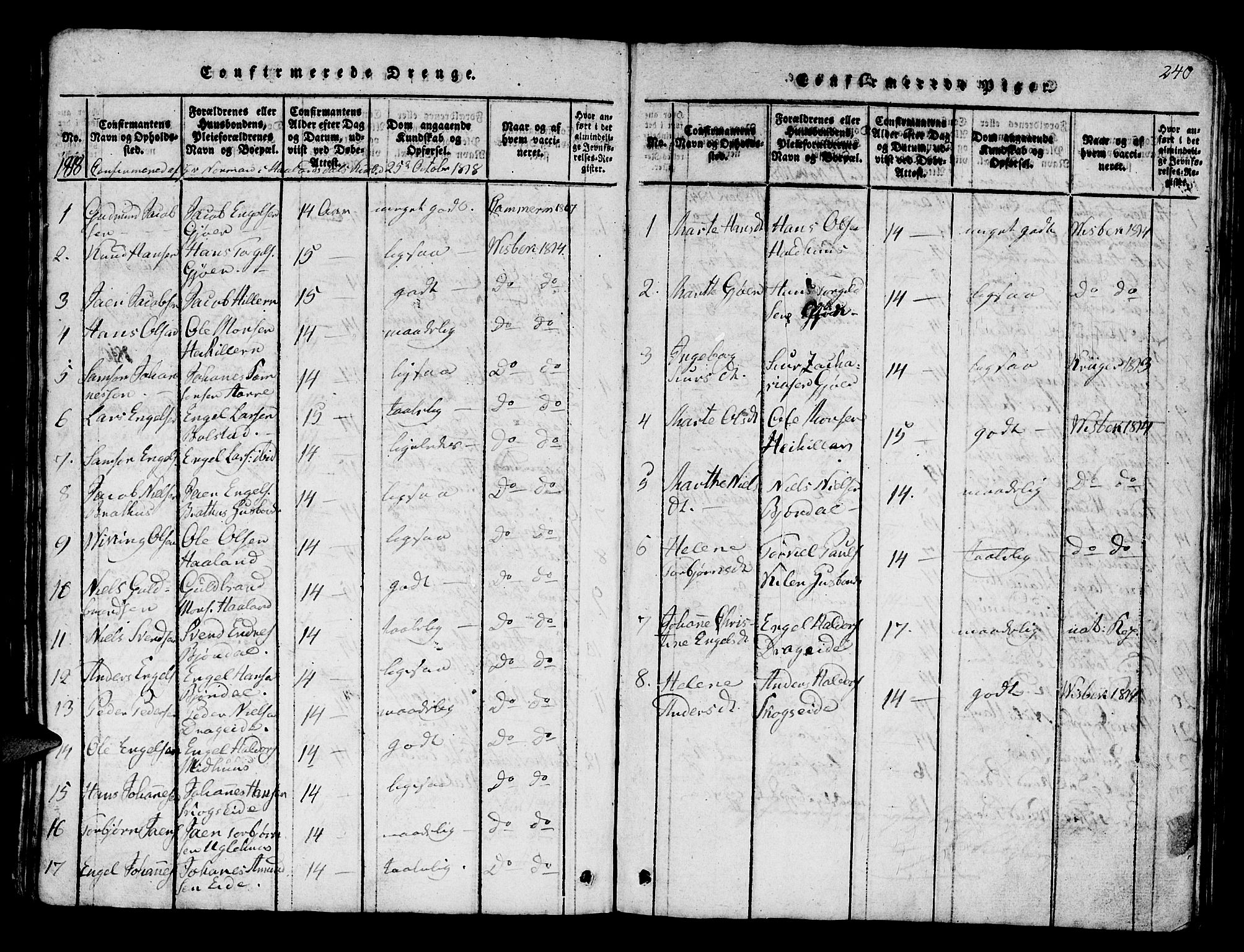 Os sokneprestembete, AV/SAB-A-99929: Parish register (official) no. A 12, 1816-1825, p. 240