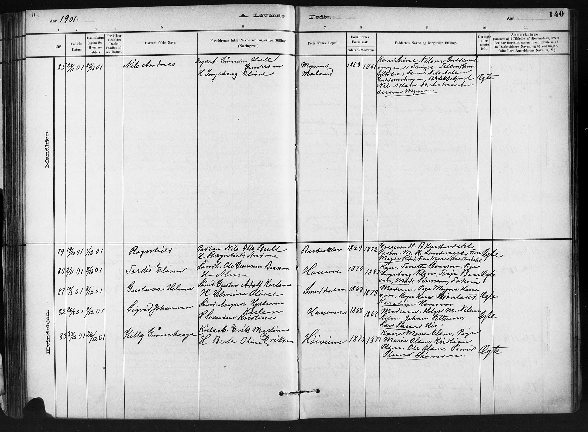 Barbu sokneprestkontor, AV/SAK-1111-0003/F/Fb/L0002: Parish register (copy) no. B 2, 1890-1922, p. 140