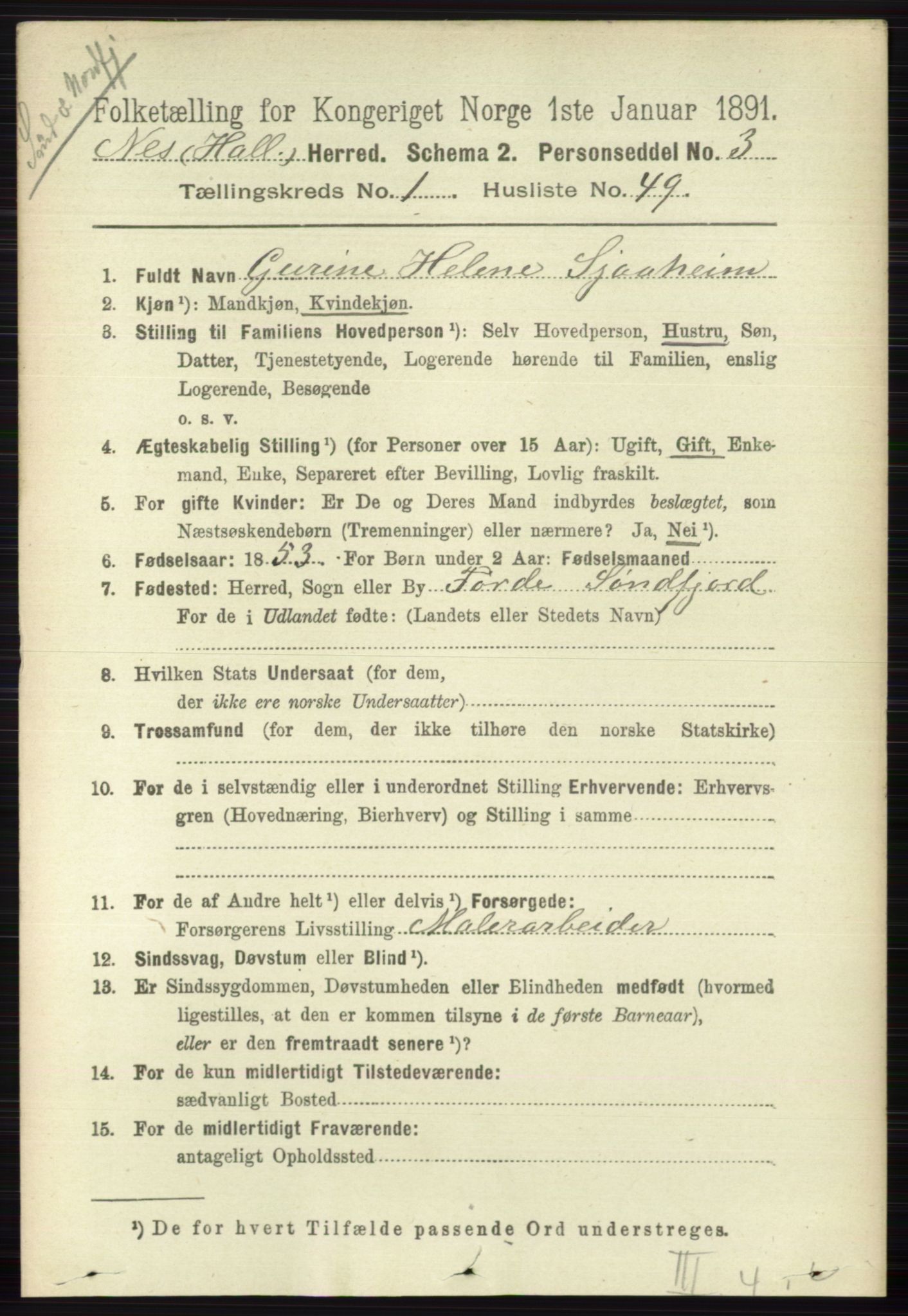 RA, 1891 census for 0616 Nes, 1891, p. 428