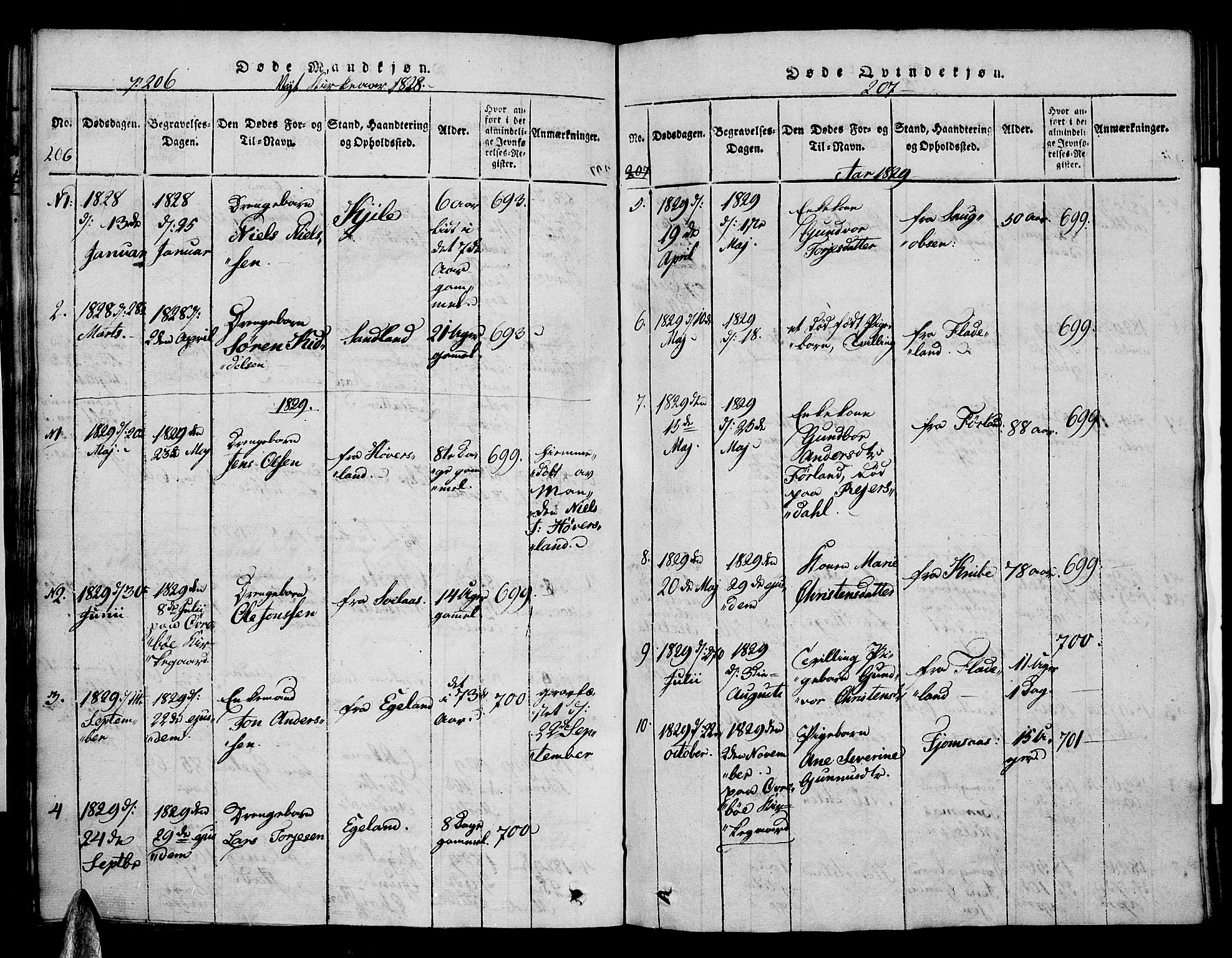 Vennesla sokneprestkontor, SAK/1111-0045/Fa/Faa/L0003: Parish register (official) no. A 3, 1820-1834, p. 206-207