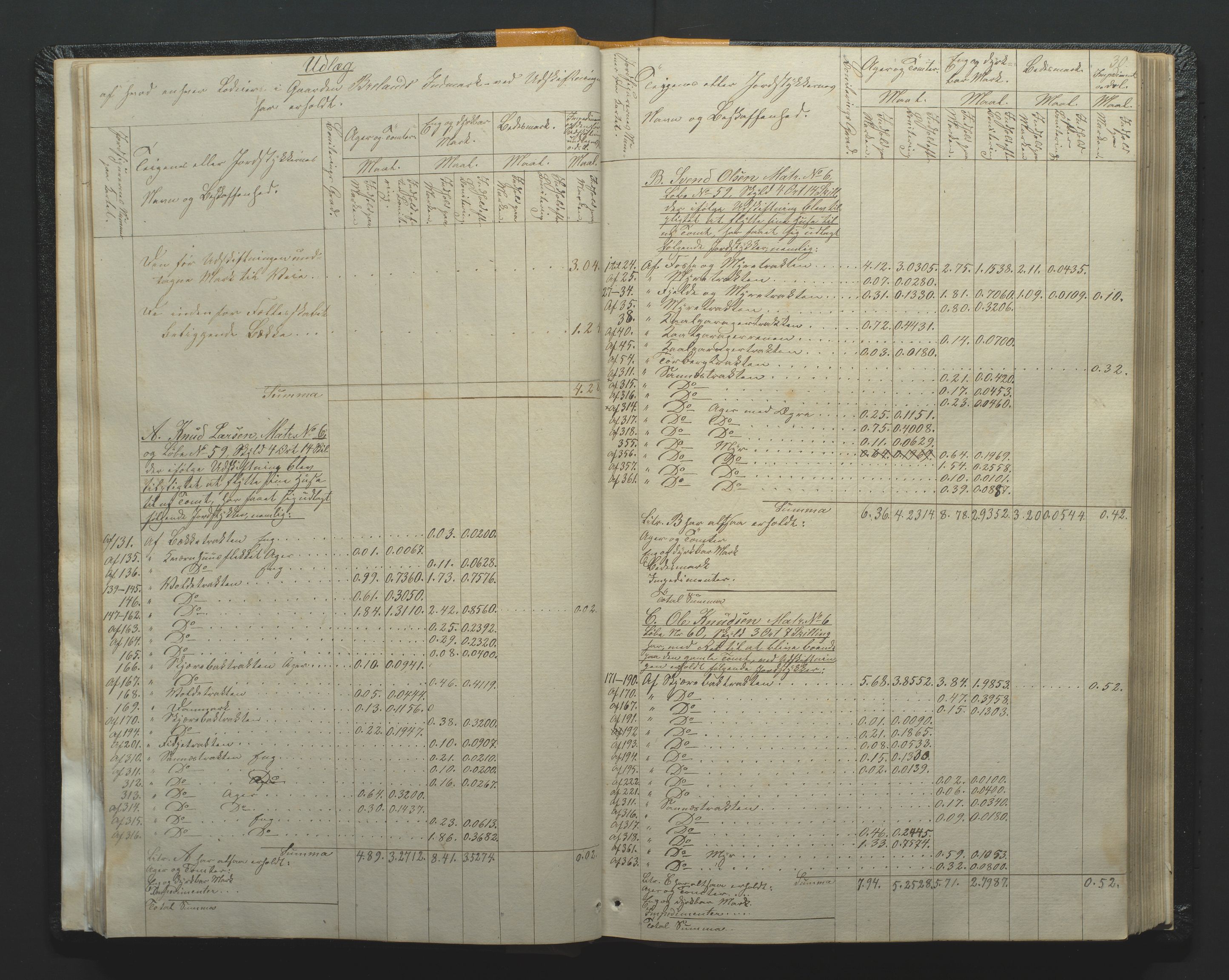 Utskiftningsformannen i Nedenes amt, AV/SAK-1541-0002/F/Fa/Faa/L0002: Utskiftningsprotokoll med gårdsregister, Nedenes amt nr 2, 1860-1867, p. 30
