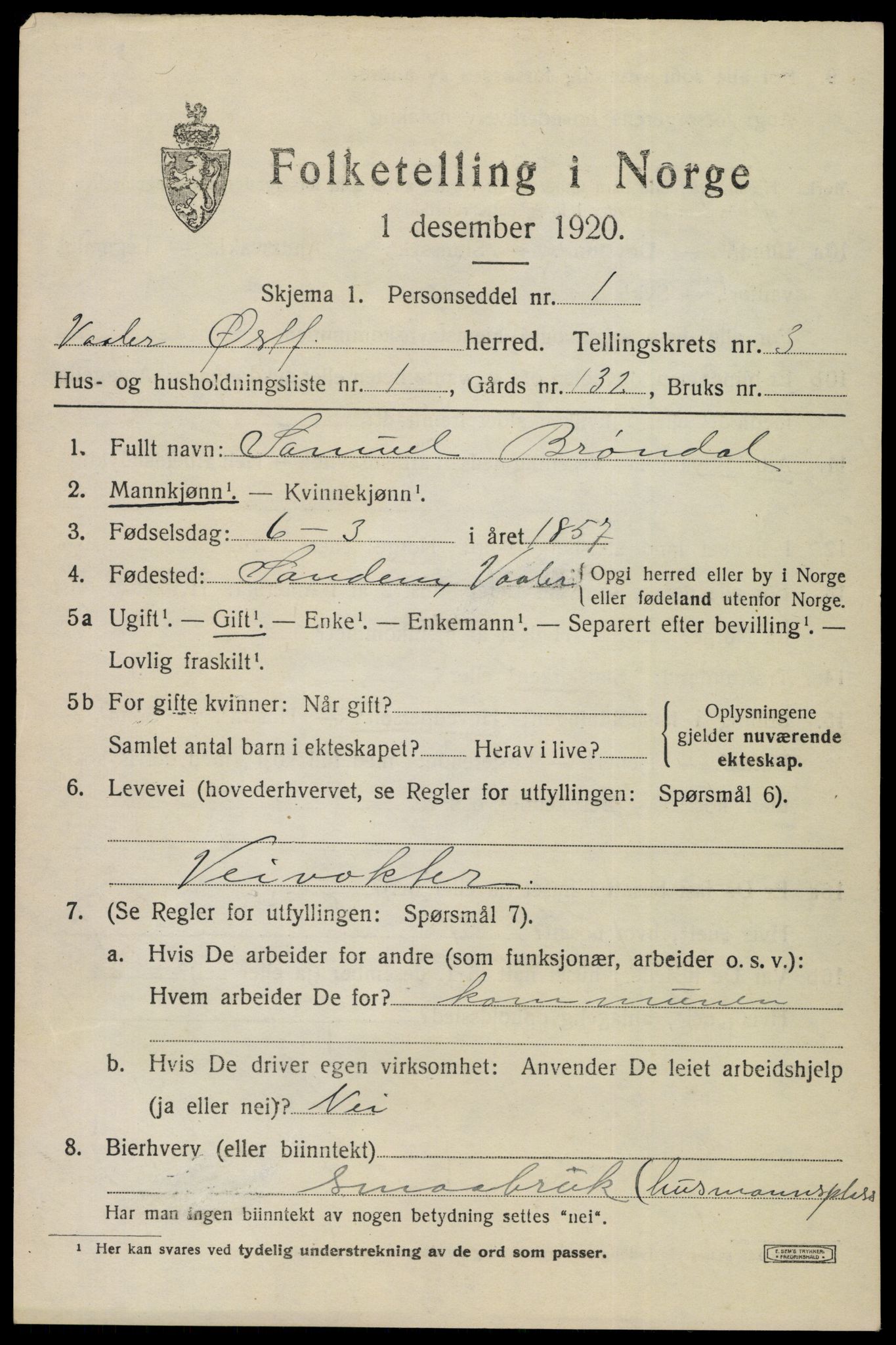 SAO, 1920 census for Våler, 1920, p. 2052