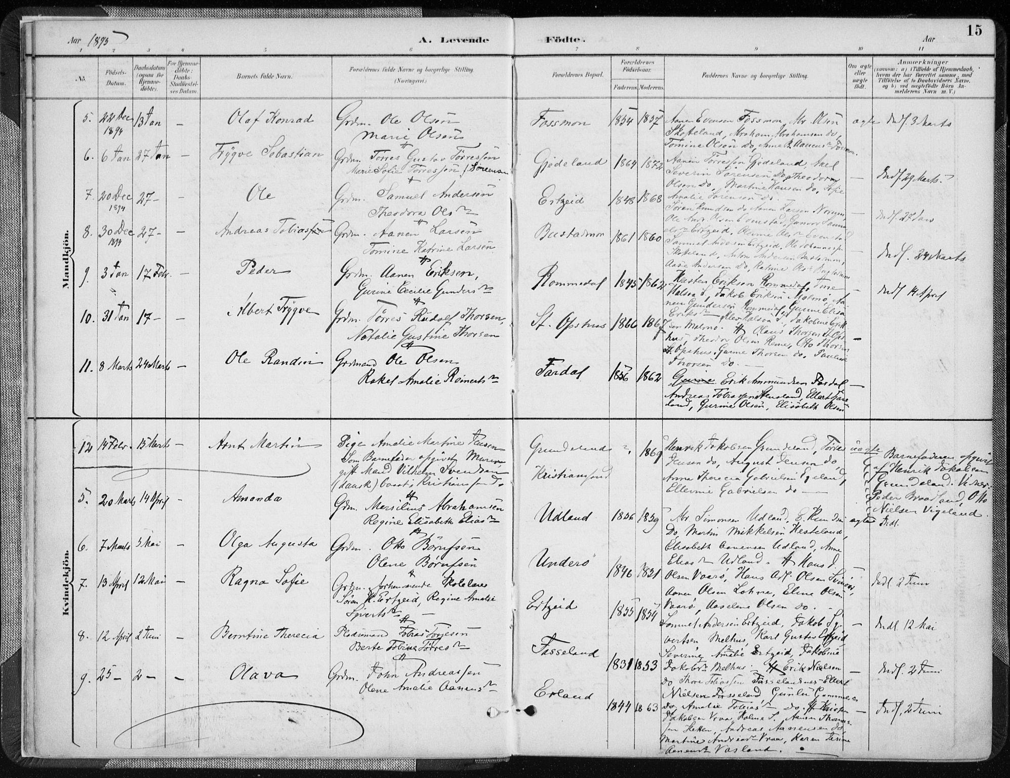 Sør-Audnedal sokneprestkontor, AV/SAK-1111-0039/F/Fa/Fab/L0010: Parish register (official) no. A 10, 1892-1913, p. 15