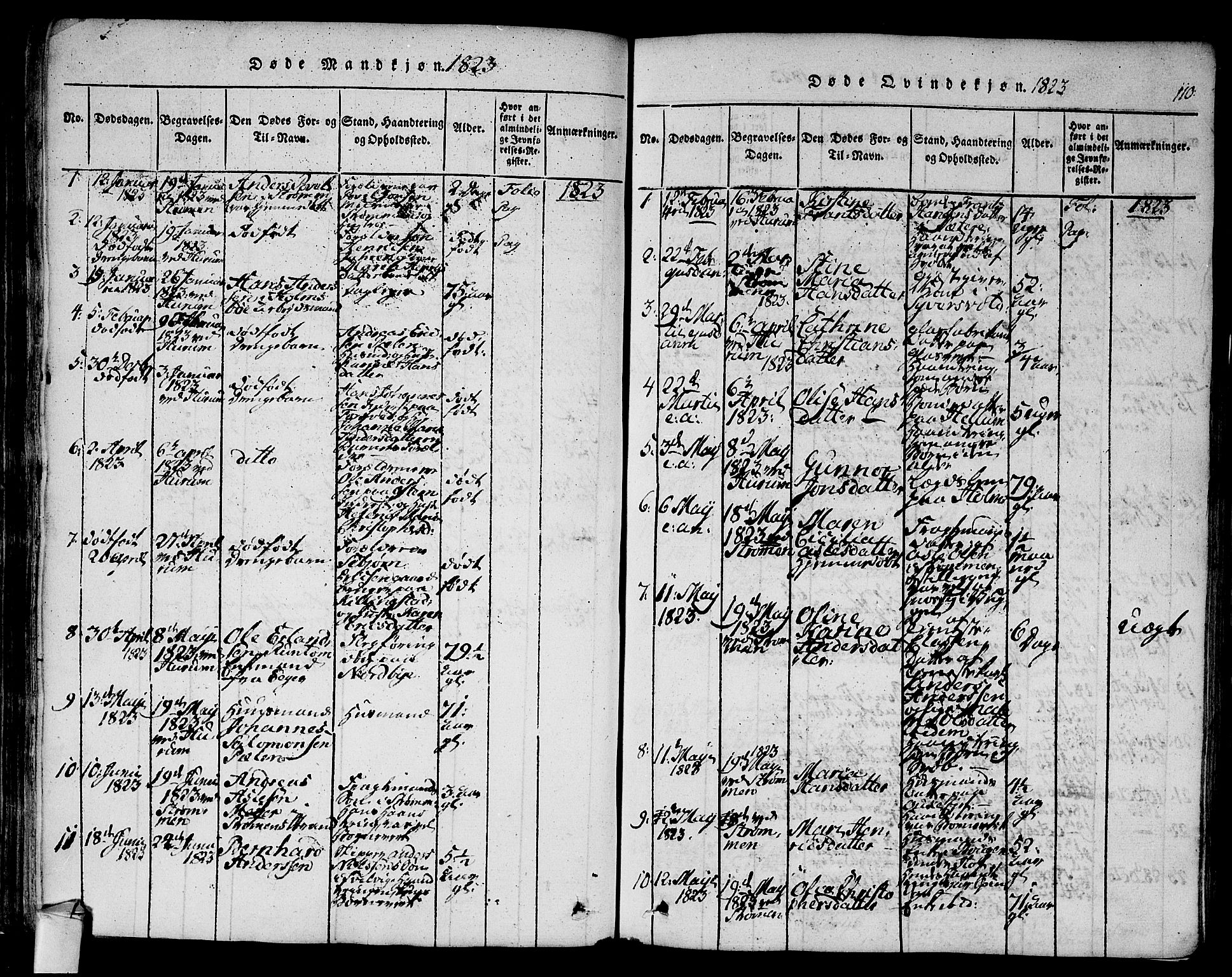 Hurum kirkebøker, SAKO/A-229/F/Fa/L0009: Parish register (official) no. 9, 1816-1826, p. 110