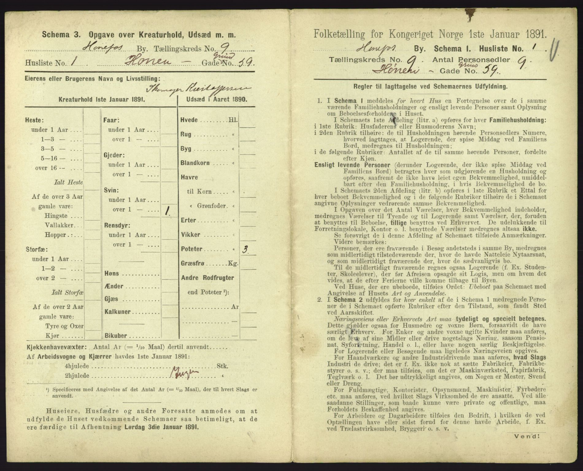 RA, 1891 census for 0601 Hønefoss, 1891, p. 219