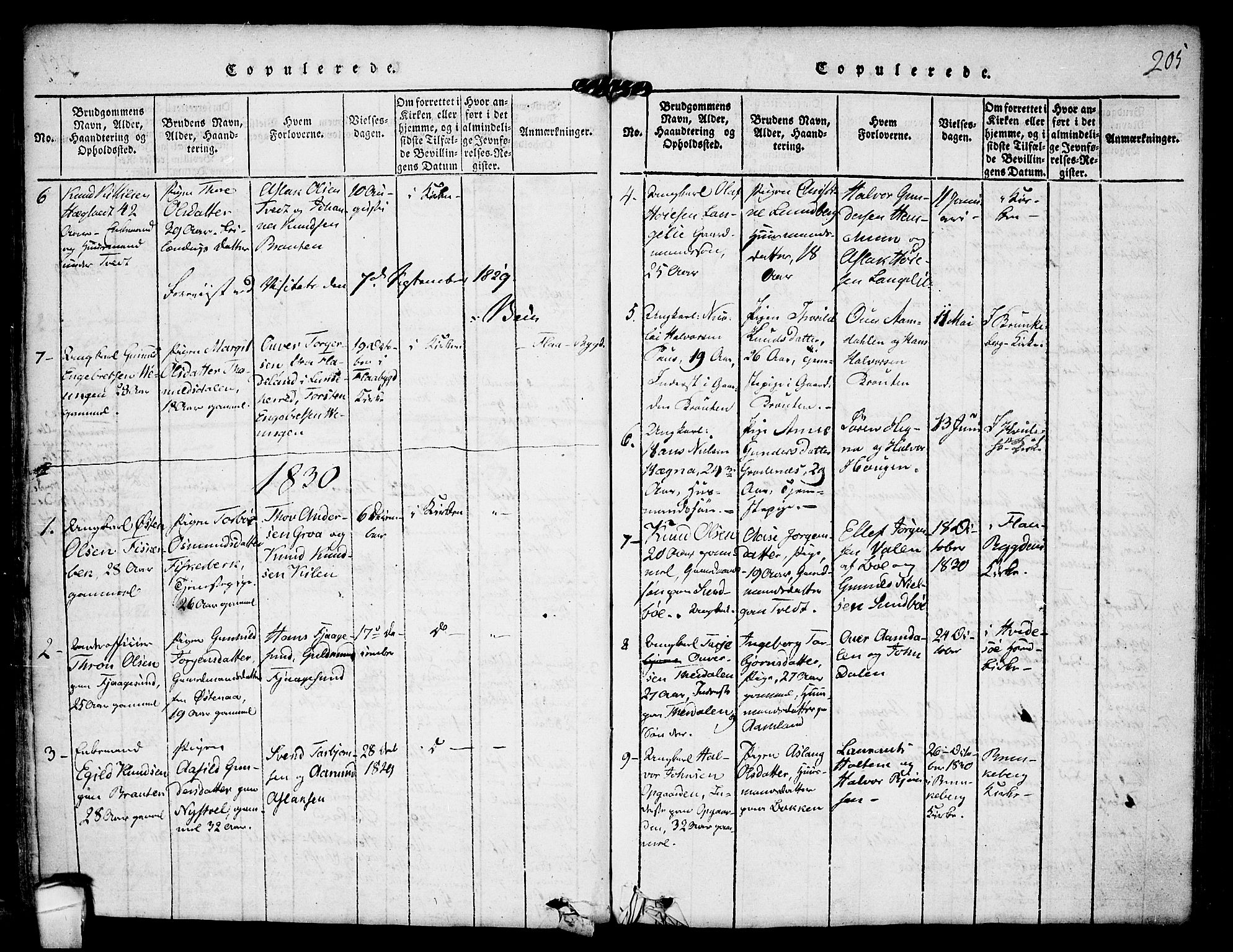 Kviteseid kirkebøker, AV/SAKO-A-276/F/Fa/L0005: Parish register (official) no. I 5, 1815-1836, p. 205