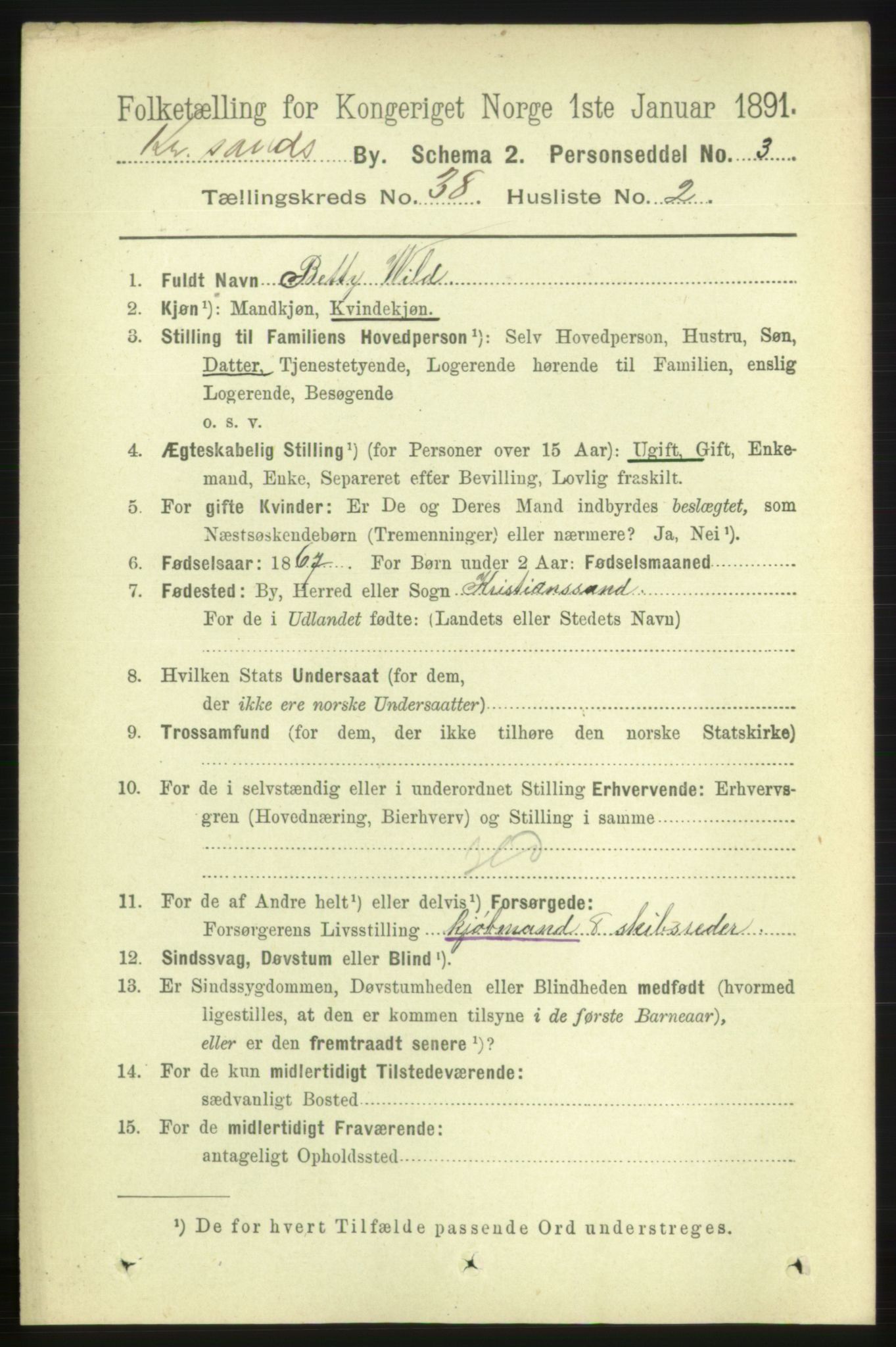 RA, 1891 census for 1001 Kristiansand, 1891, p. 12177