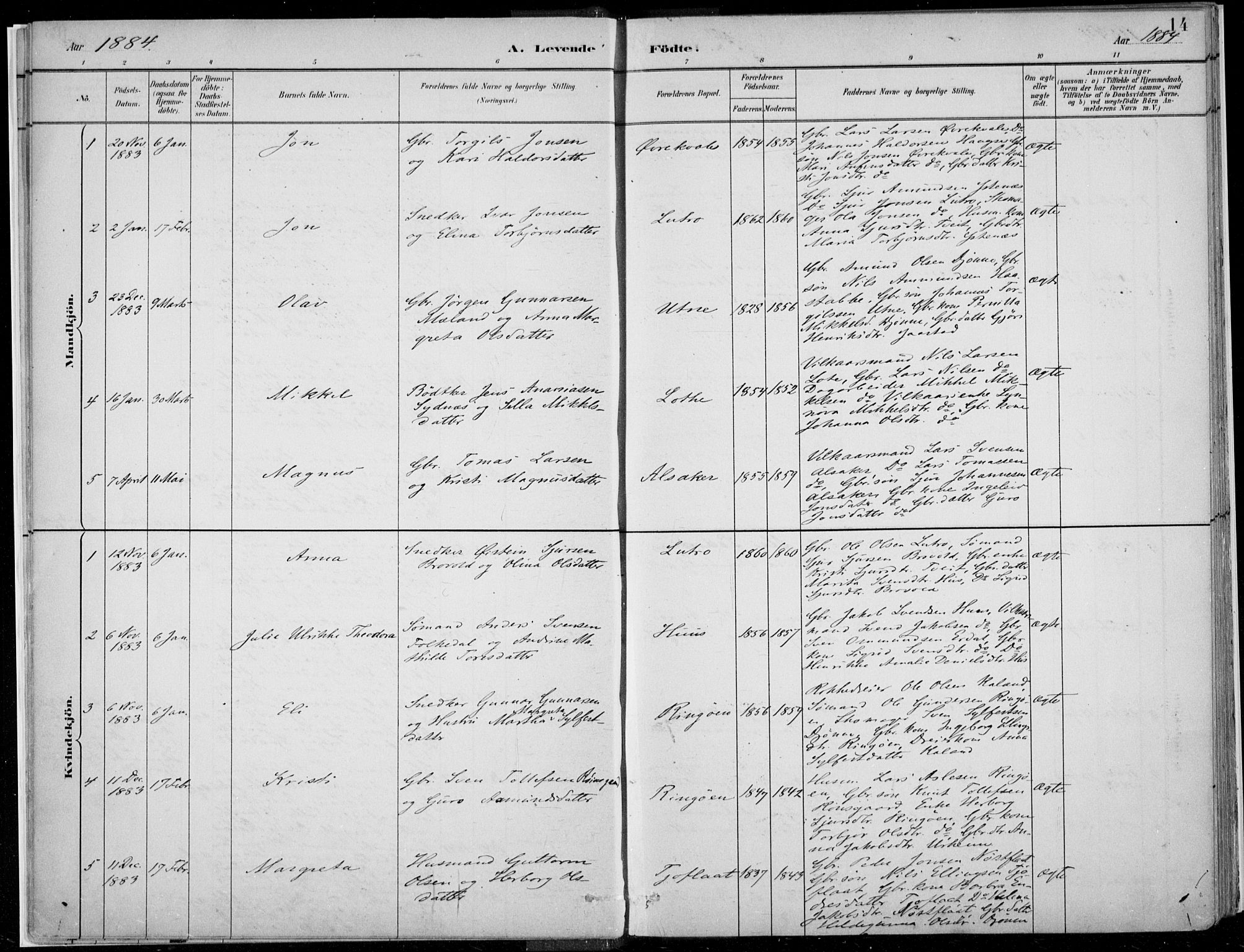 Ullensvang sokneprestembete, SAB/A-78701/H/Haa: Parish register (official) no. E  1, 1882-1921, p. 14