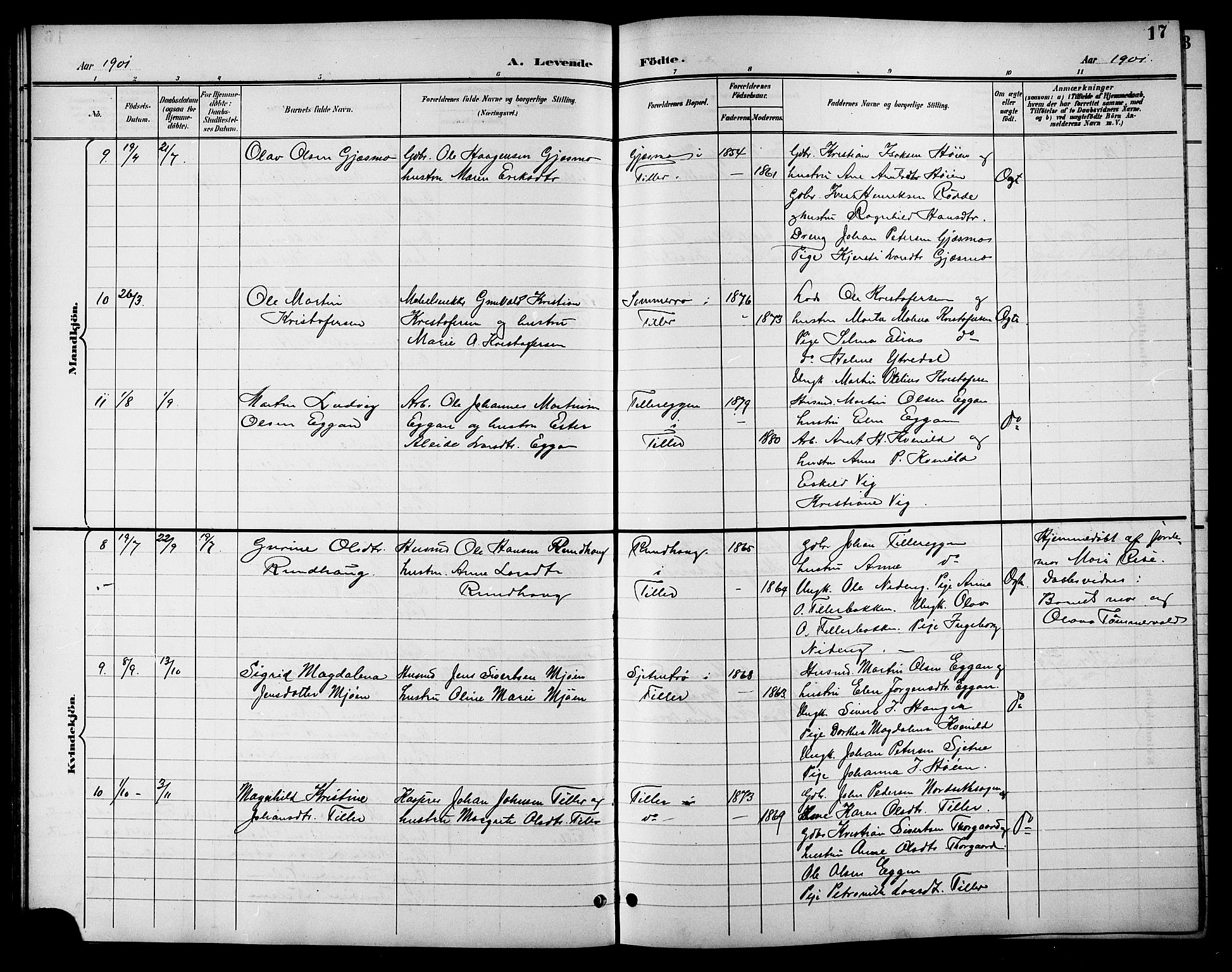 Ministerialprotokoller, klokkerbøker og fødselsregistre - Sør-Trøndelag, AV/SAT-A-1456/621/L0460: Parish register (copy) no. 621C03, 1896-1914, p. 17