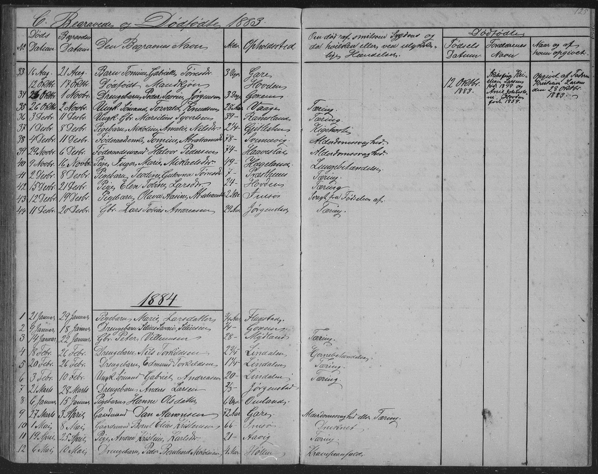 Sør-Audnedal sokneprestkontor, SAK/1111-0039/F/Fb/Fba/L0003: Parish register (copy) no. B 3, 1879-1893, p. 125