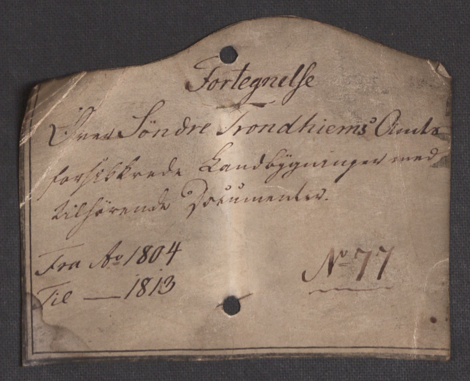 Kommersekollegiet, Brannforsikringskontoret 1767-1814, RA/EA-5458/F/Fb/L0077/0001: Søndre Trondheims amt / Dokumenter, Trondheim amt, 1789-1805