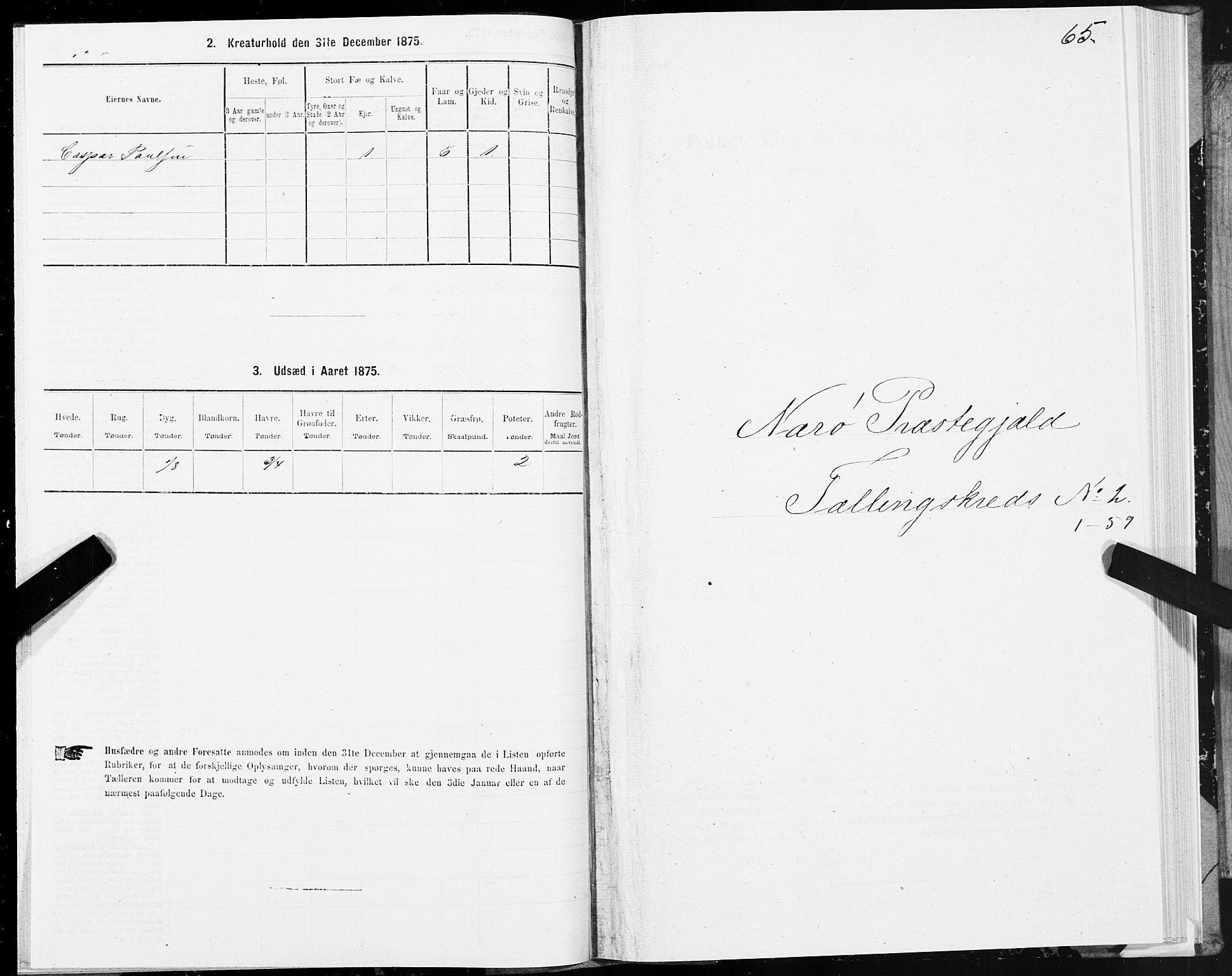 SAT, 1875 census for 1751P Nærøy, 1875, p. 1065