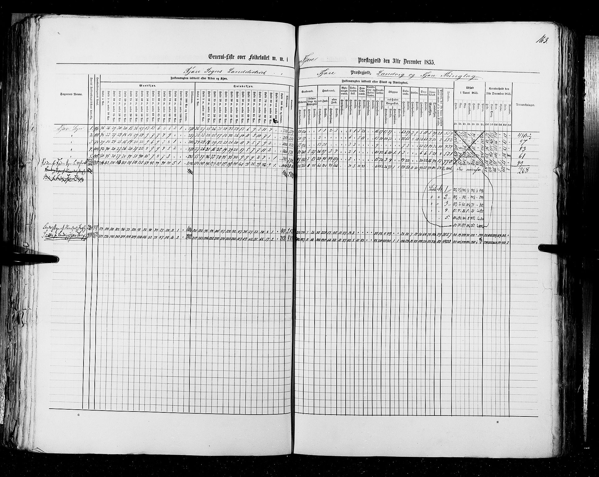 RA, Census 1855, vol. 3: Bratsberg amt, Nedenes amt og Lister og Mandal amt, 1855, p. 163