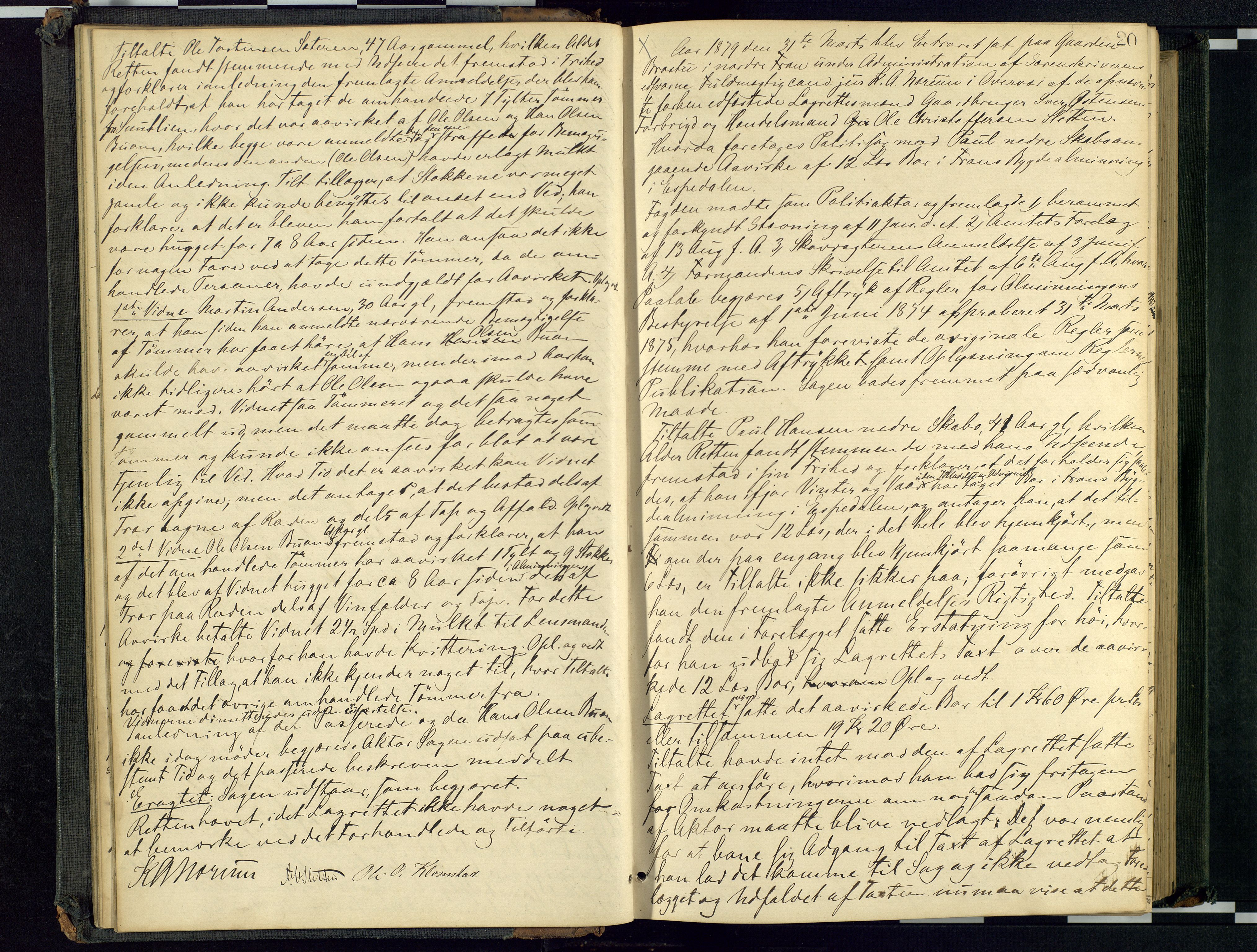 Mellom-Gudbrandsdal sorenskriveri, AV/SAH-TING-038/G/Gc/Gca/L0015: Ekstrarettsprotokoll, 1879-1884, p. 20