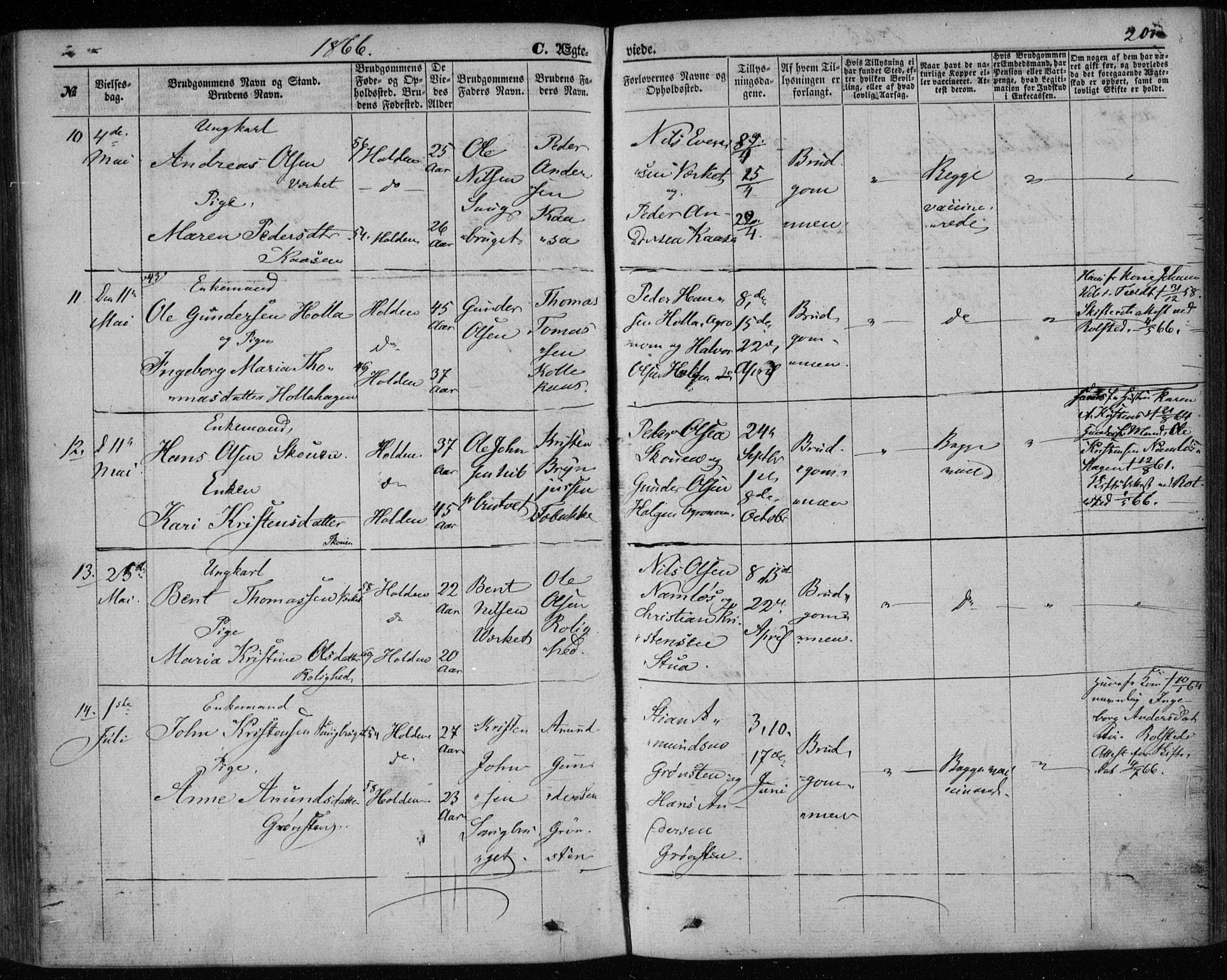 Holla kirkebøker, AV/SAKO-A-272/F/Fa/L0006: Parish register (official) no. 6, 1861-1869, p. 201