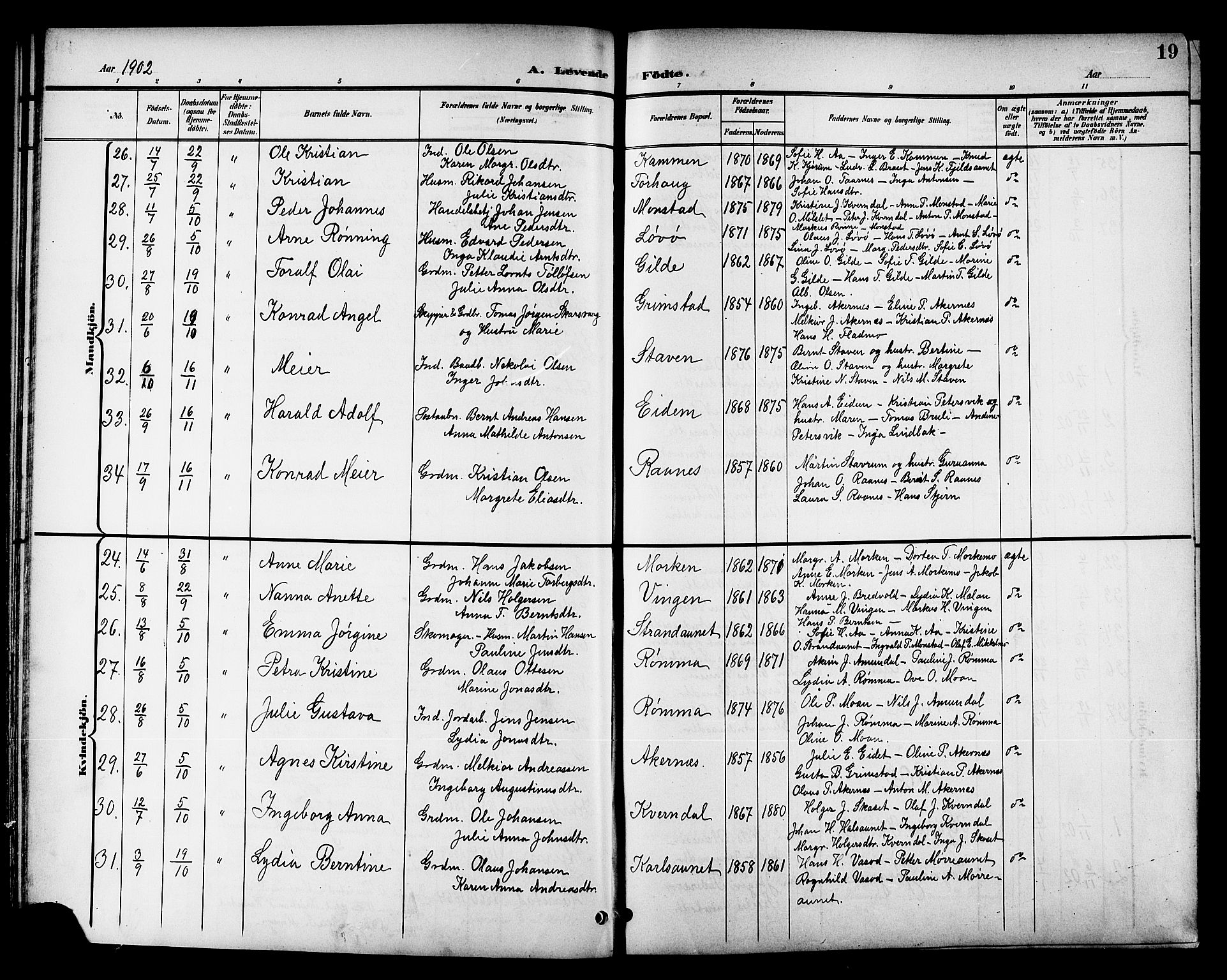 Ministerialprotokoller, klokkerbøker og fødselsregistre - Sør-Trøndelag, SAT/A-1456/655/L0688: Parish register (copy) no. 655C04, 1899-1922, p. 19