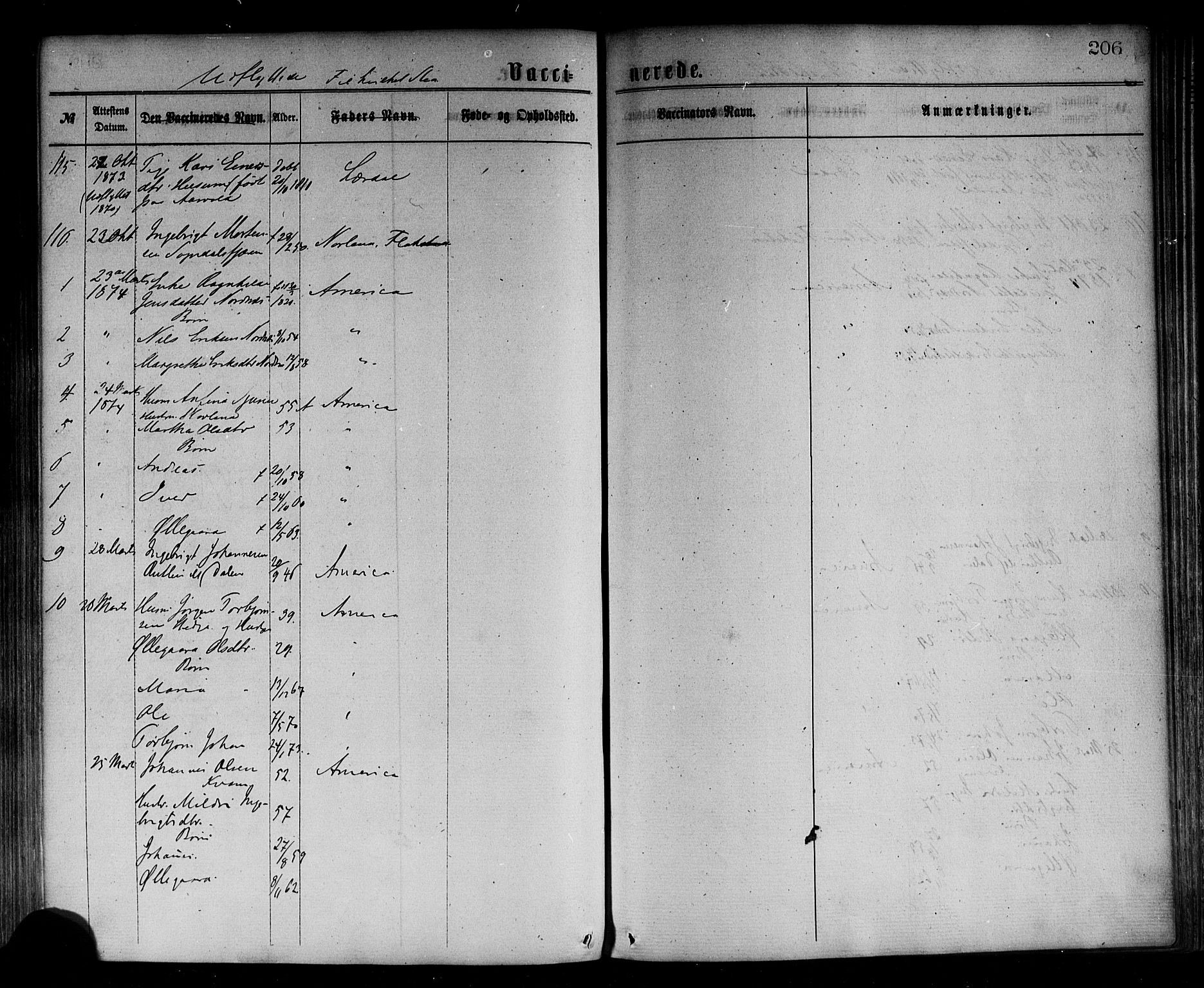 Sogndal sokneprestembete, SAB/A-81301/H/Haa/Haaa/L0014: Parish register (official) no. A 14, 1864-1877, p. 206