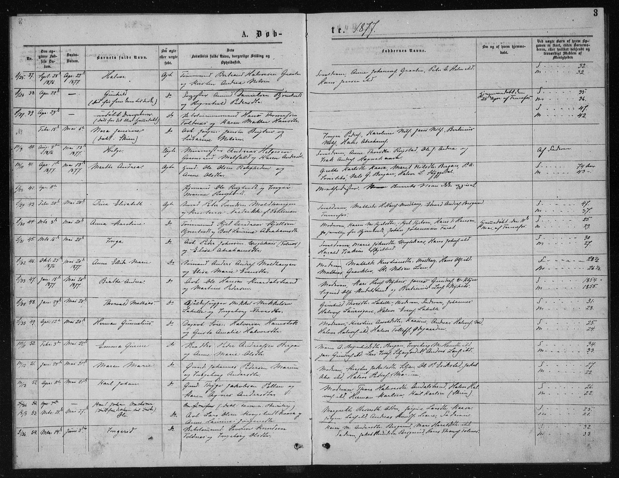 Solum kirkebøker, SAKO/A-306/G/Ga/L0005: Parish register (copy) no. I 5, 1877-1881, p. 3