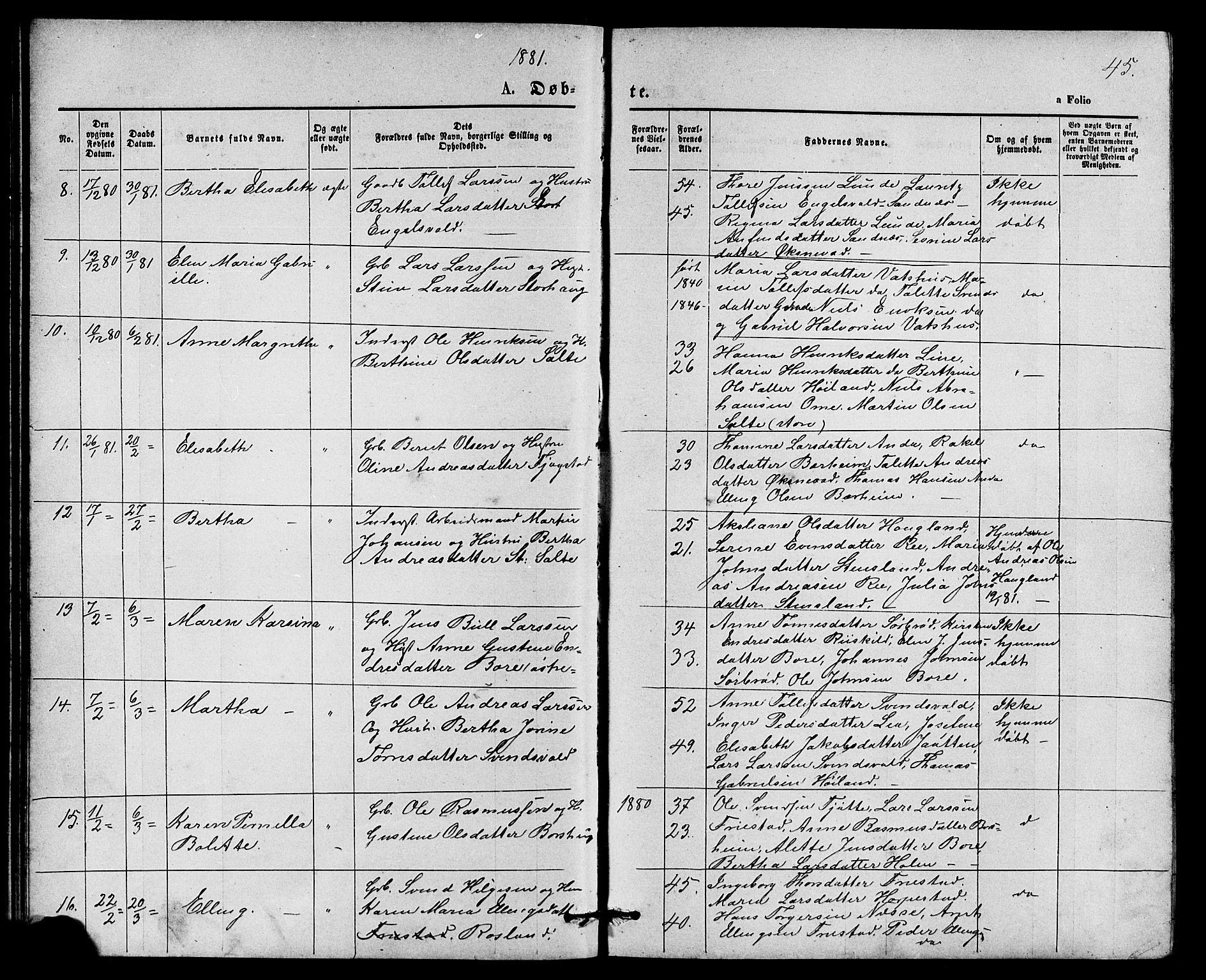 Klepp sokneprestkontor, AV/SAST-A-101803/001/3/30BB/L0003: Parish register (copy) no. B 3, 1876-1888, p. 45