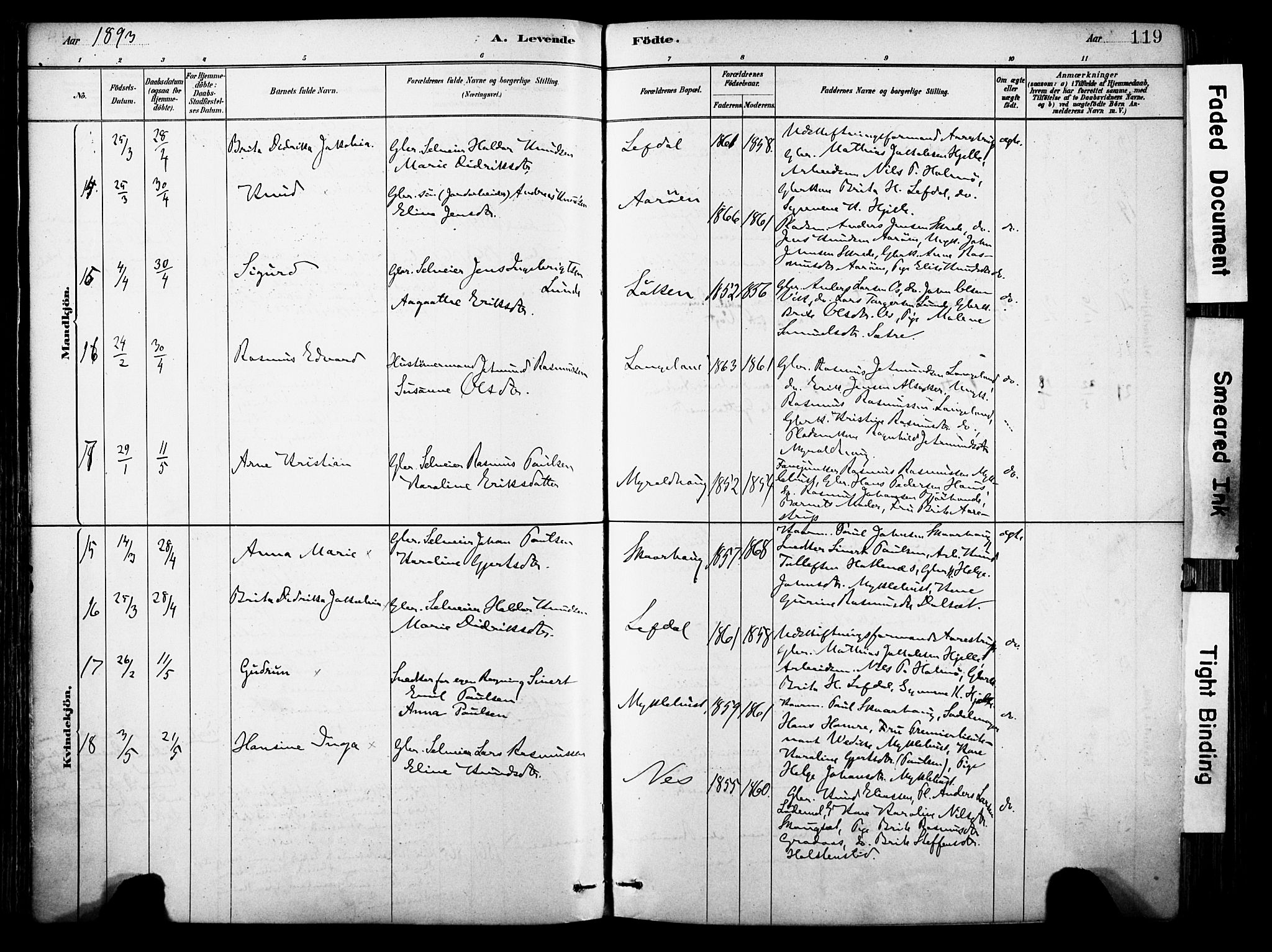 Eid sokneprestembete, AV/SAB-A-82301/H/Haa/Haab/L0001: Parish register (official) no. B 1, 1879-1906, p. 119