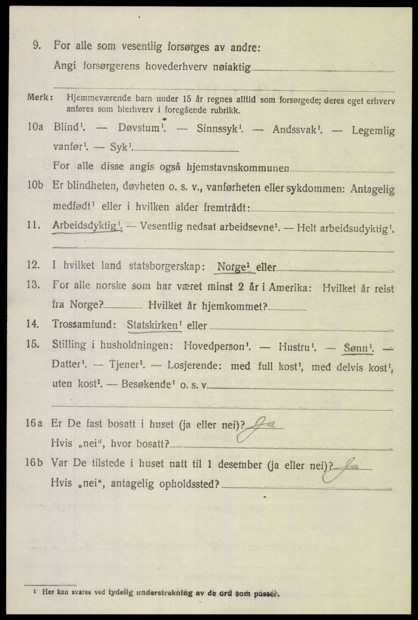 SAH, 1920 census for Nord-Aurdal, 1920, p. 11729