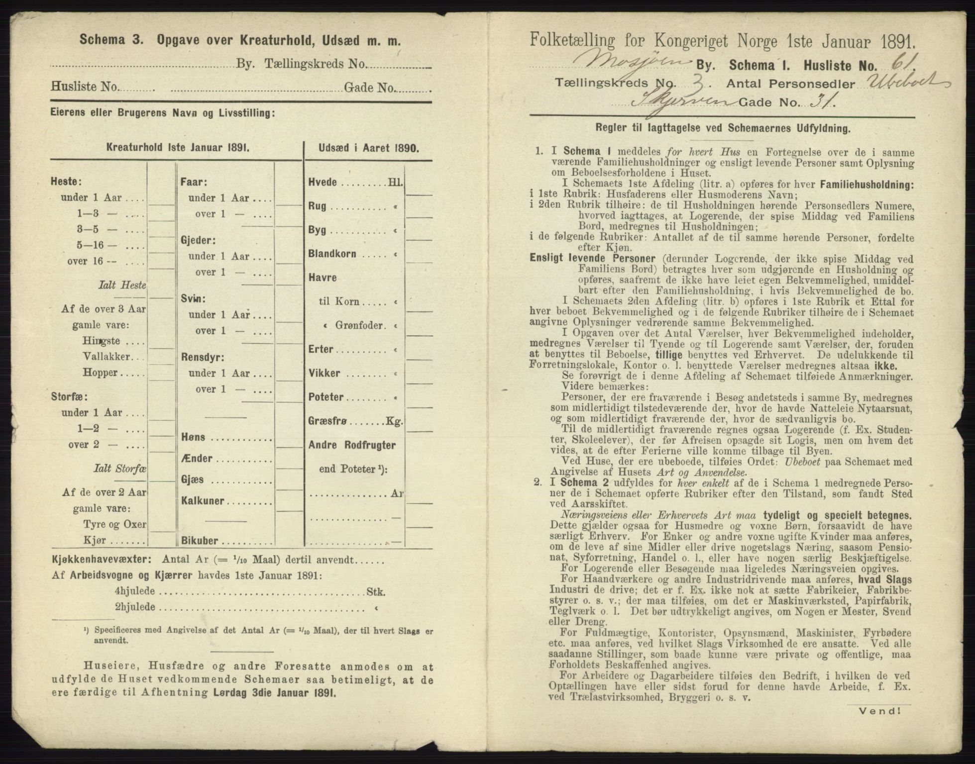 RA, 1891 census for 1802 Mosjøen, 1891, p. 1250