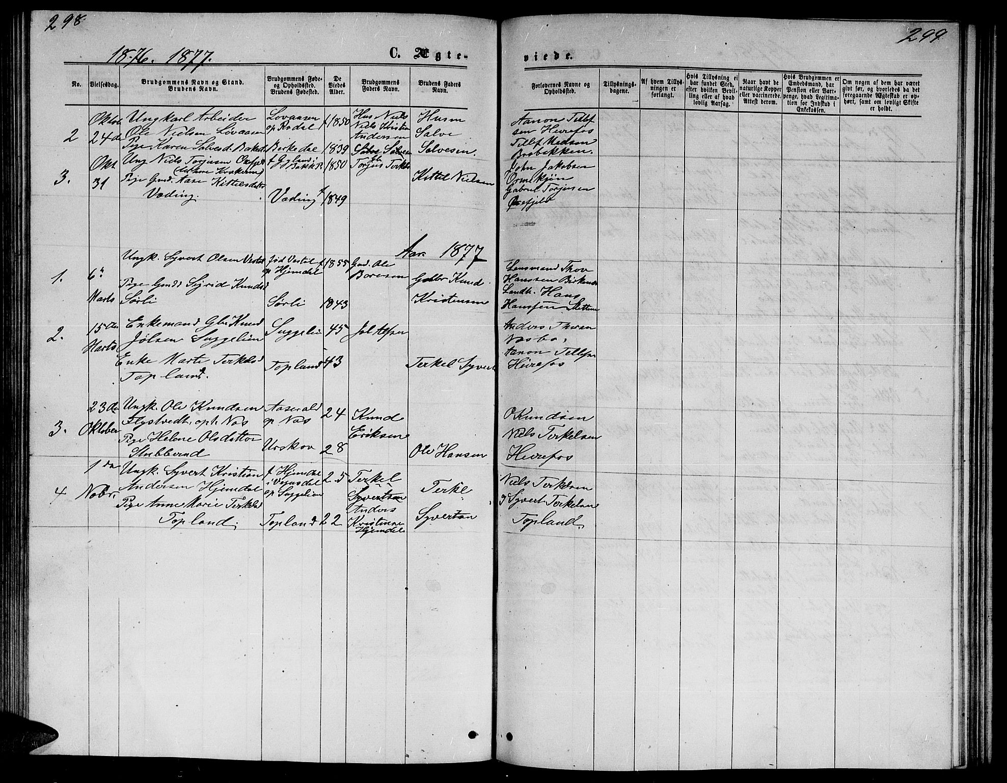 Herefoss sokneprestkontor, AV/SAK-1111-0019/F/Fb/Fba/L0002: Parish register (copy) no. B 2, 1868-1886, p. 298-299