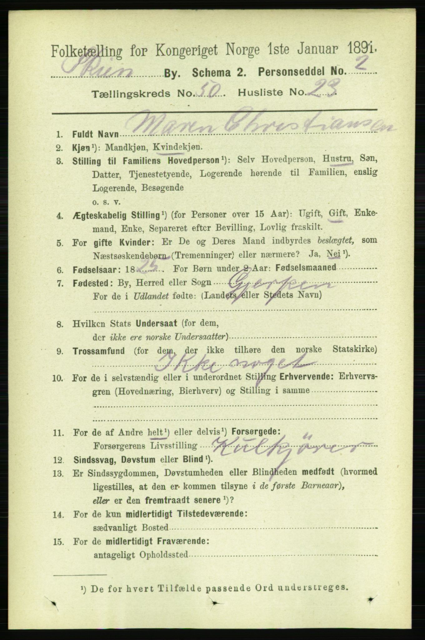 RA, 1891 census for 0806 Skien, 1891, p. 10995