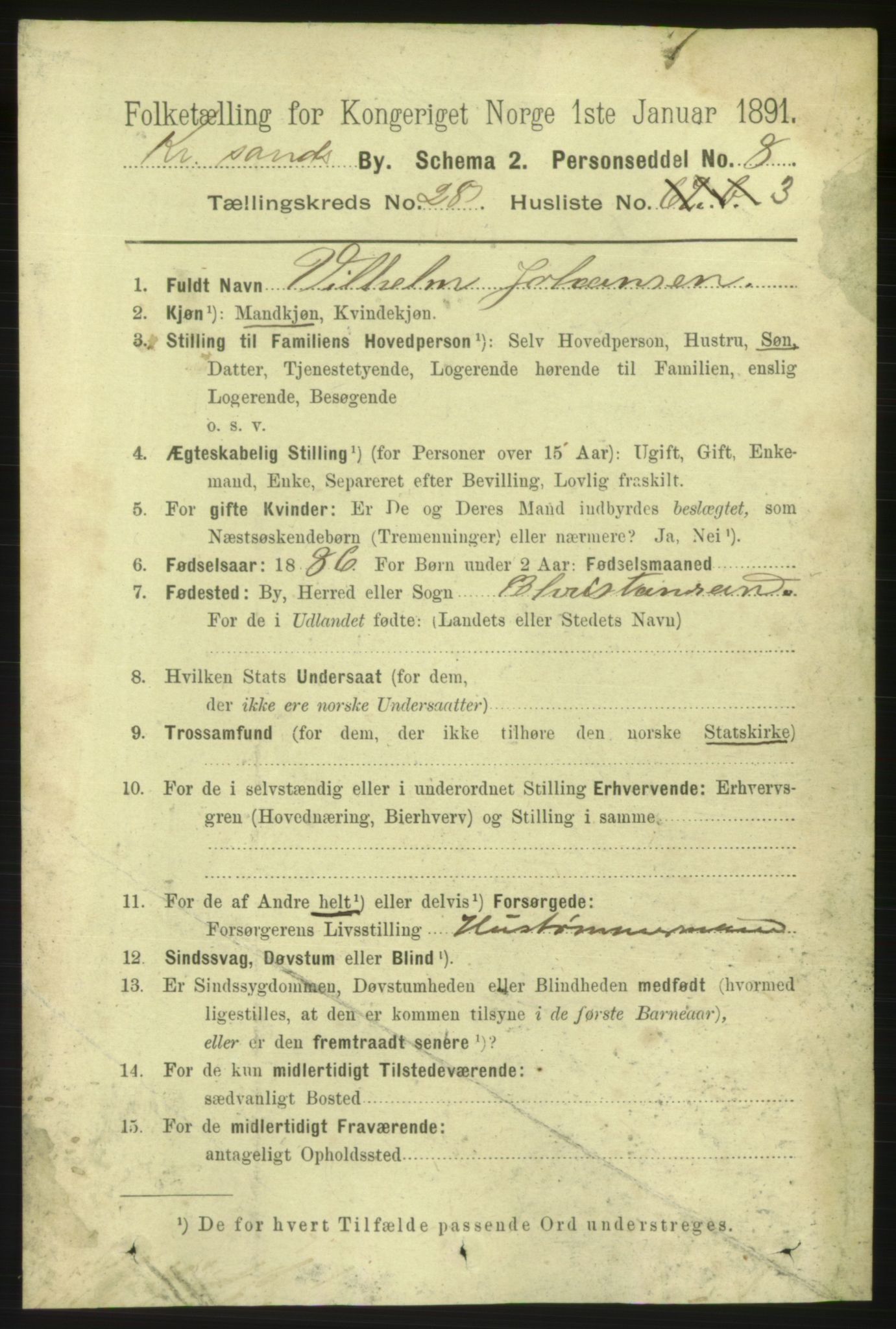 RA, 1891 census for 1001 Kristiansand, 1891, p. 9517