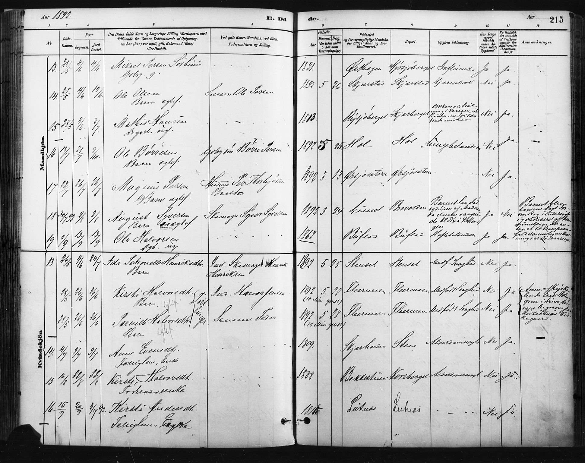 Trysil prestekontor, AV/SAH-PREST-046/H/Ha/Haa/L0009: Parish register (official) no. 9, 1881-1897, p. 215