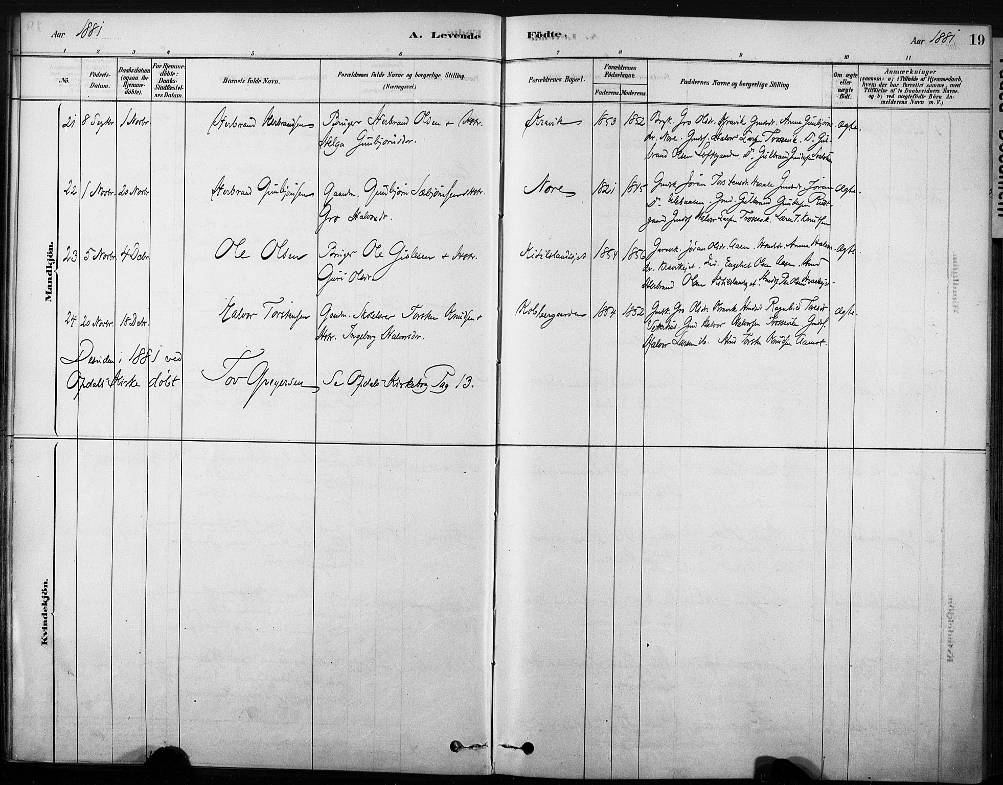 Nore kirkebøker, AV/SAKO-A-238/F/Fb/L0001: Parish register (official) no. II 1, 1878-1886, p. 19