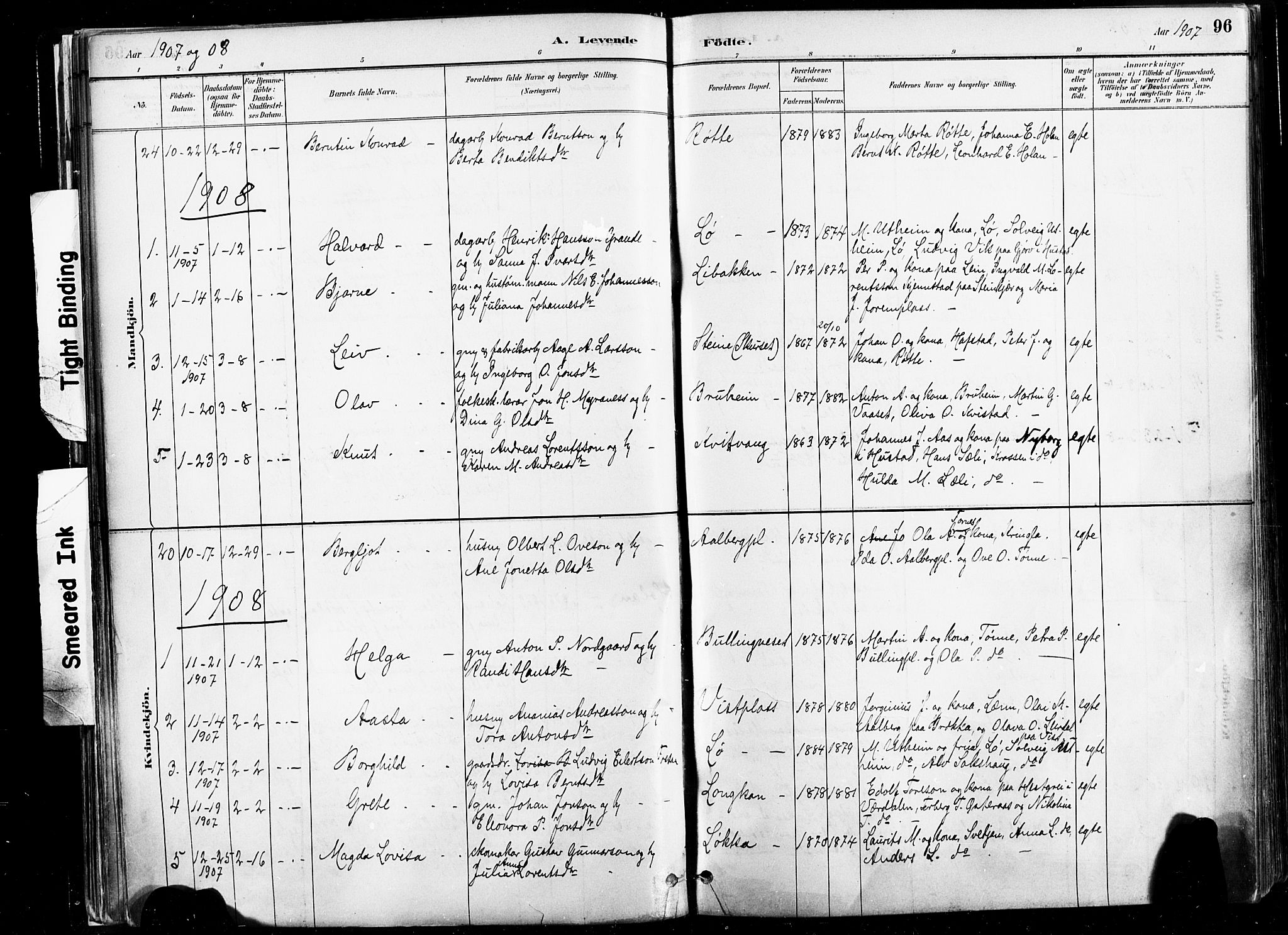 Ministerialprotokoller, klokkerbøker og fødselsregistre - Nord-Trøndelag, SAT/A-1458/735/L0351: Parish register (official) no. 735A10, 1884-1908, p. 96